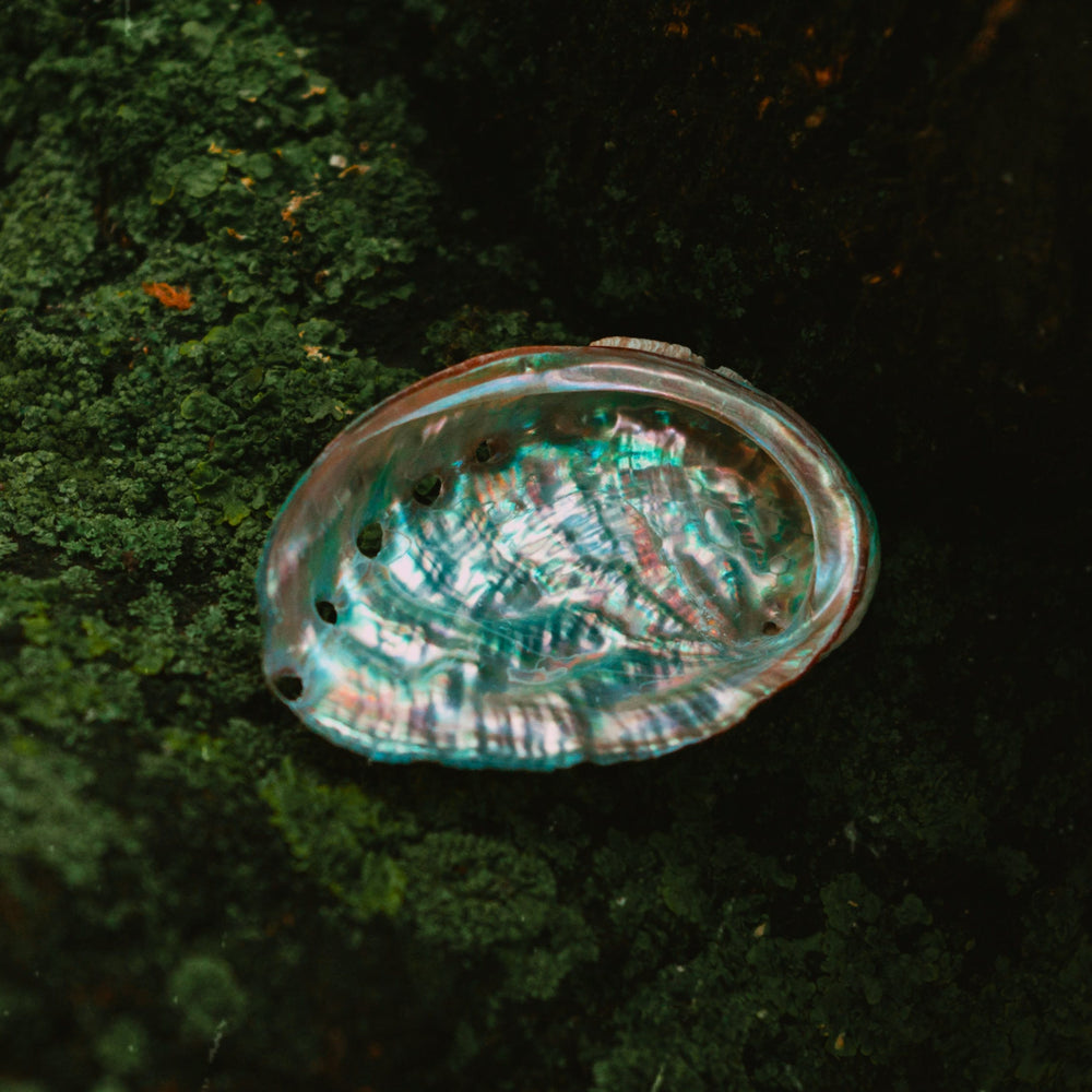 {"loading" => "eager", "fetchpriority" => "high"}