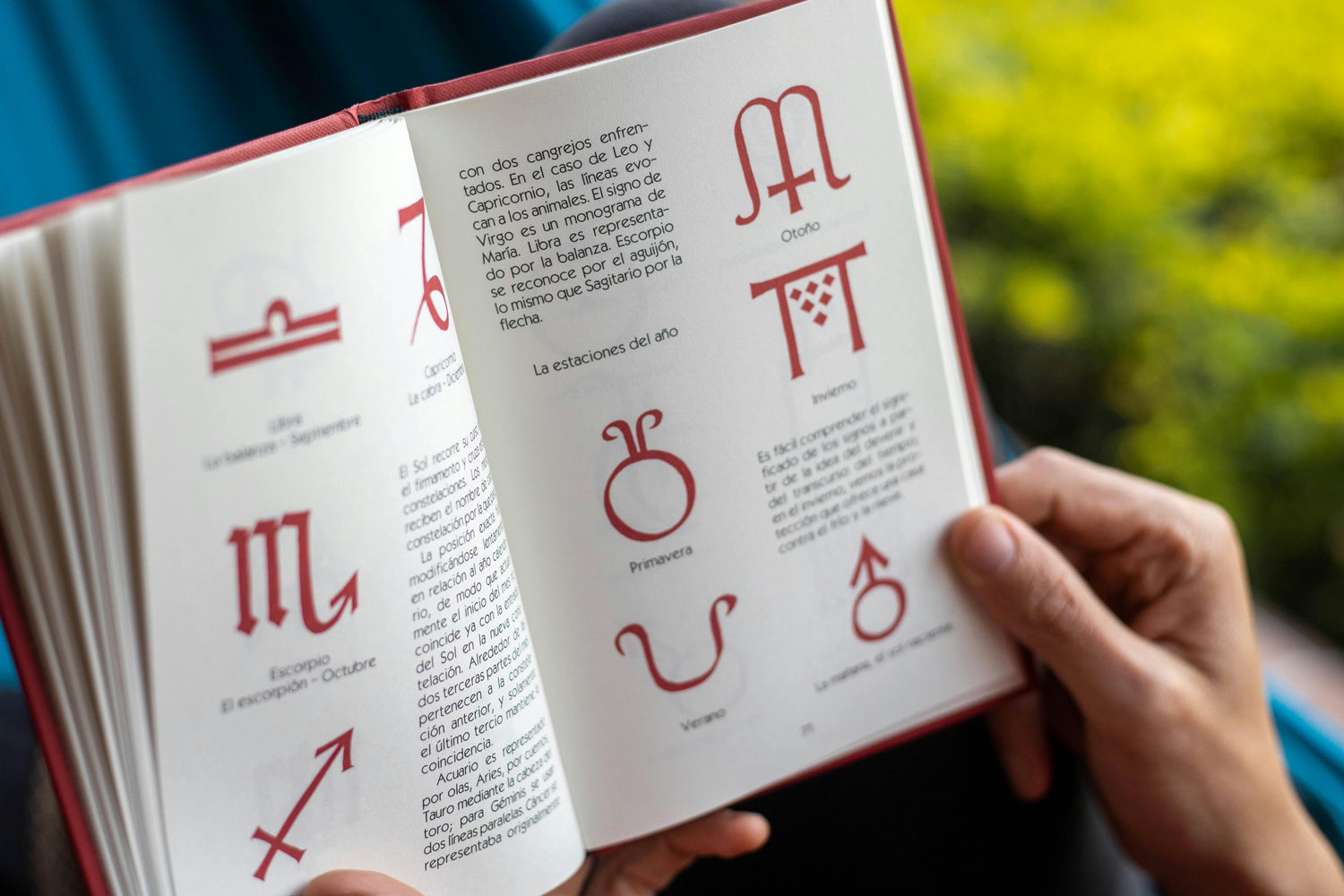 The Ultimate Guide to Capricorn Birthstones