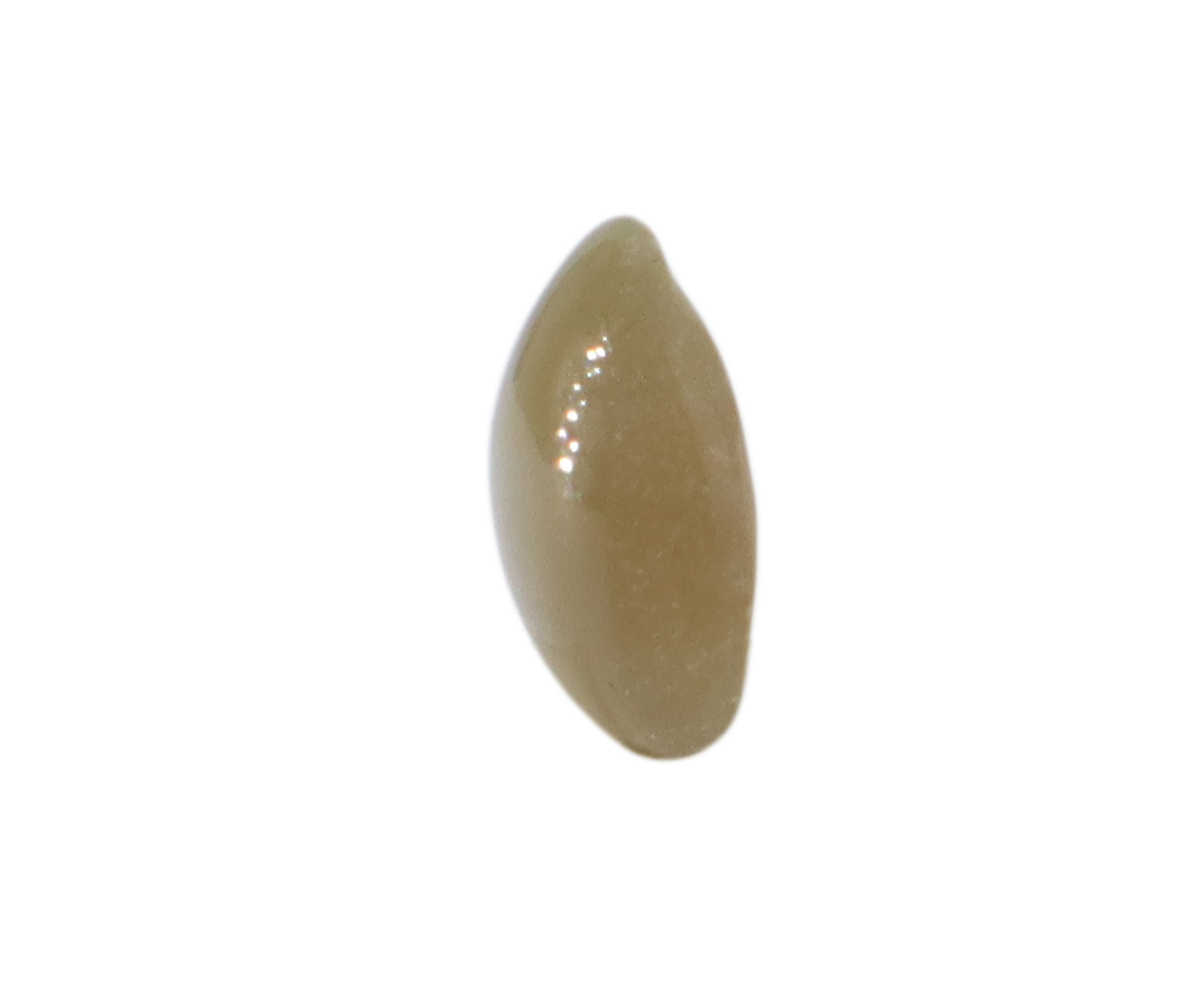 Chrysoberyl Cat&