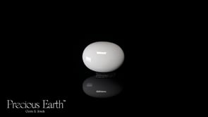 Japanese White Coral - 12.52 Carats
