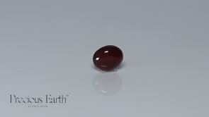 Carnelian - 11.75 Carats