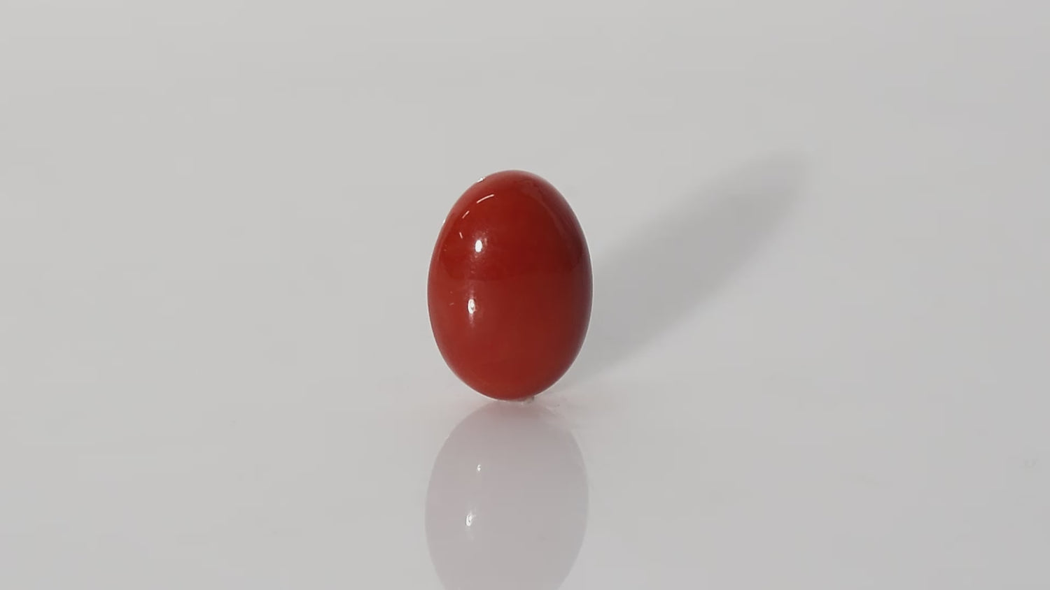 Japanese Red Coral - 19.73 Carats
