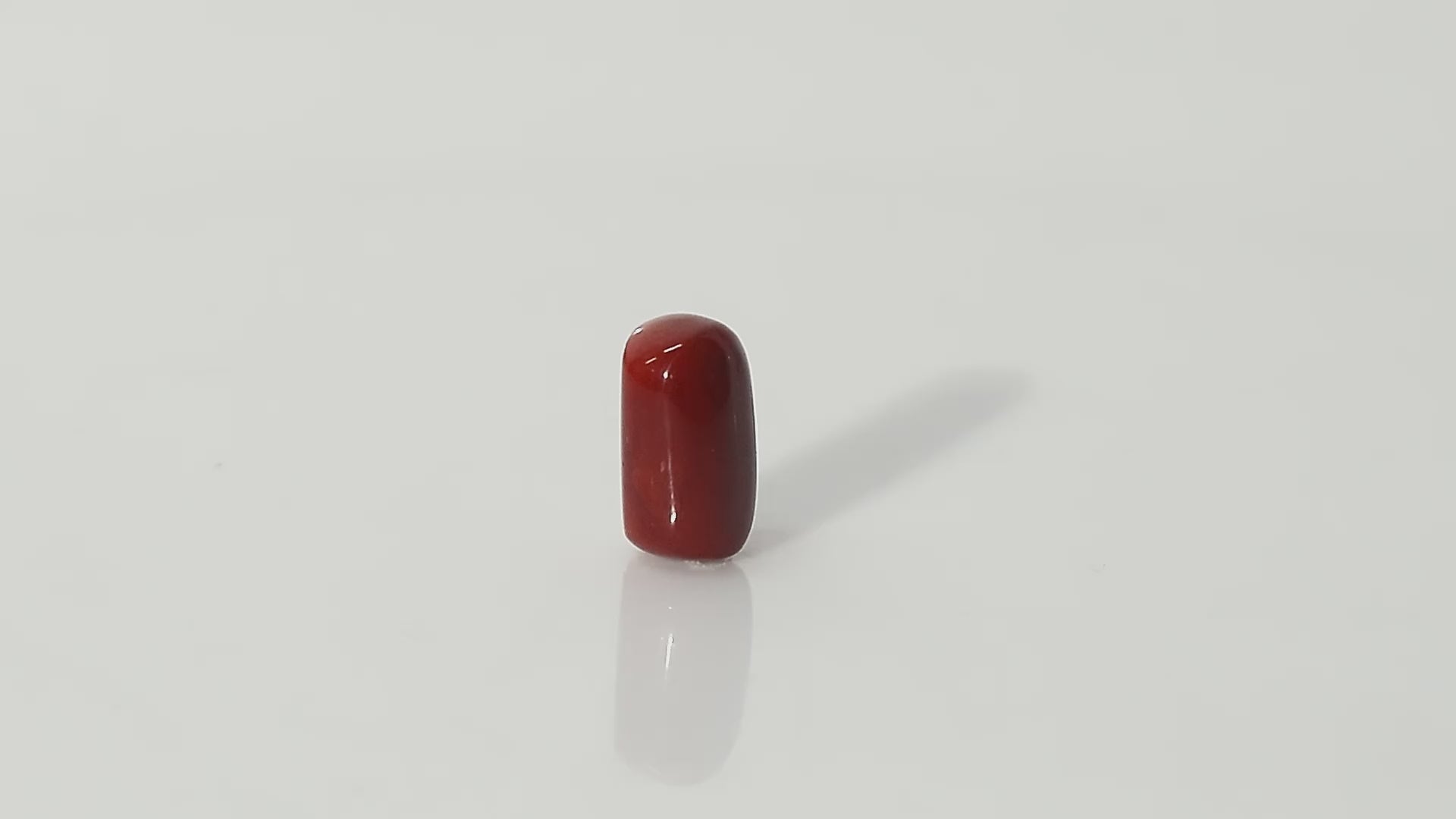 Italian Red Coral - 16.93 Carats