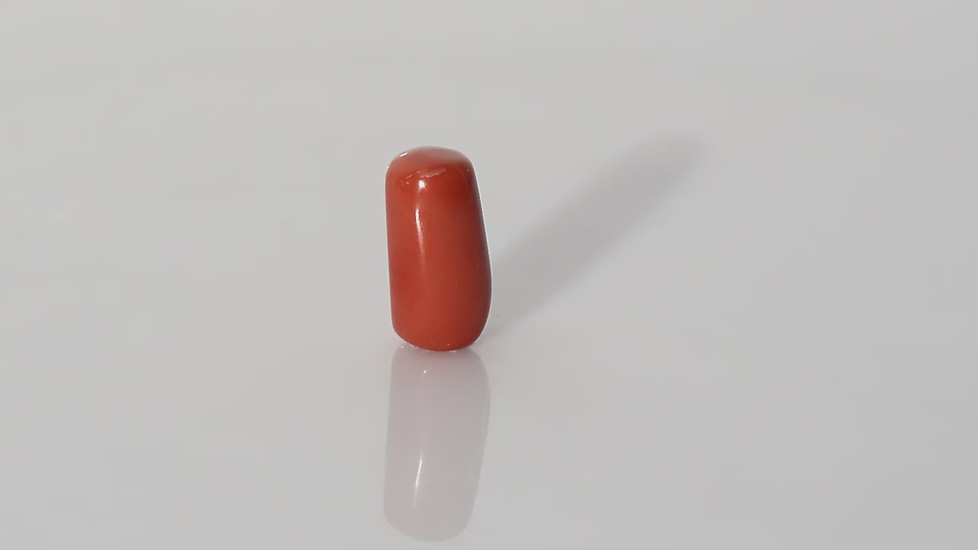 Italian Red Coral - 16.90 Carats