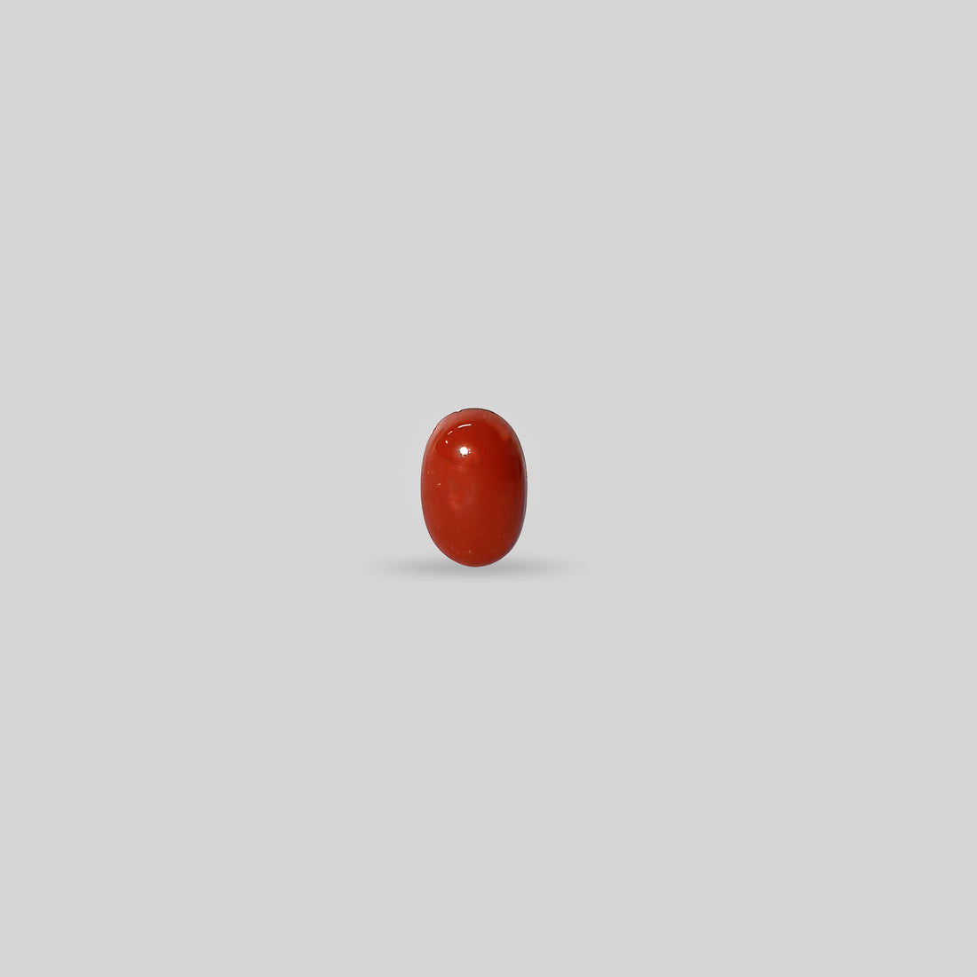 Italian Red Coral - 3.59 Carats