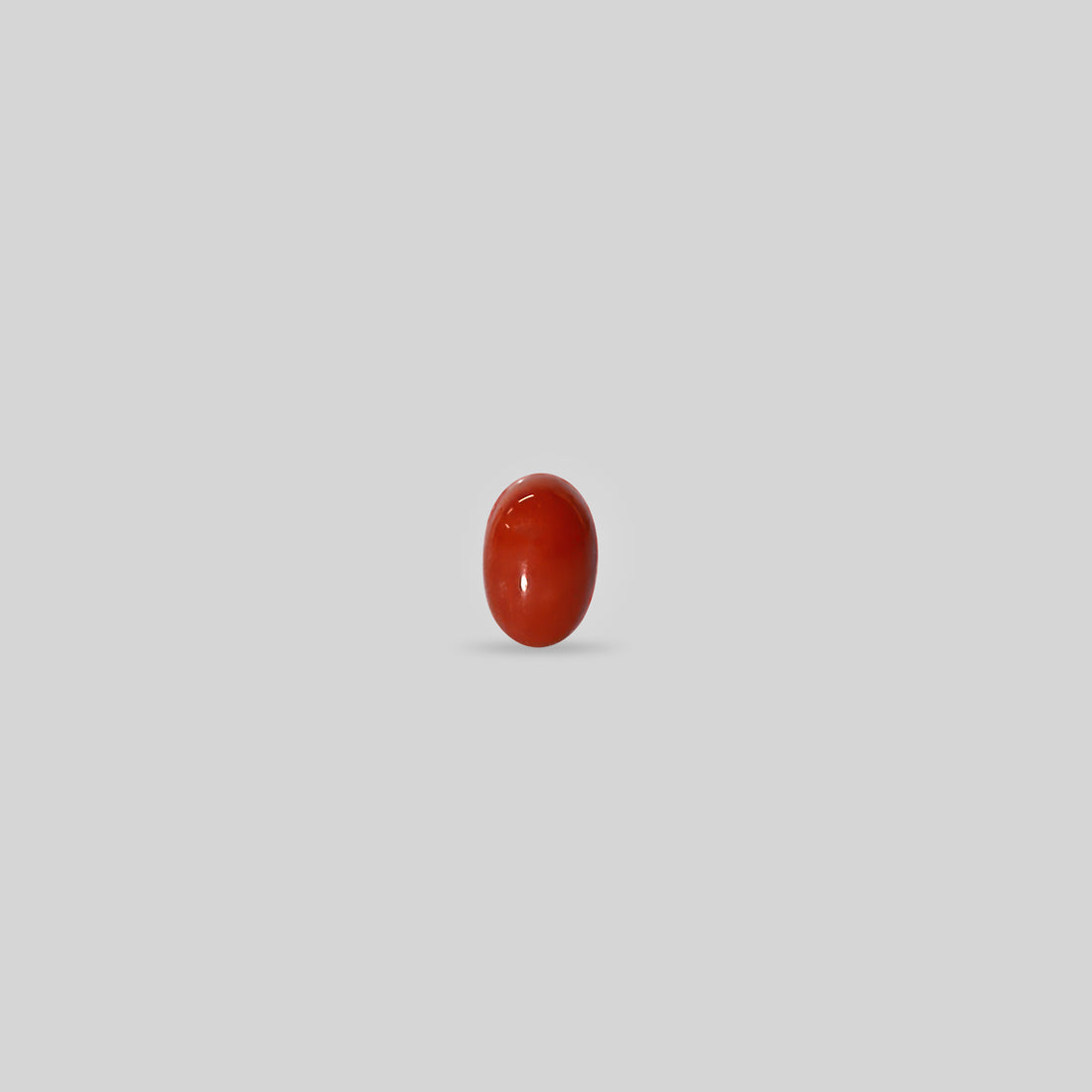 Italian Red Coral - 3.67 Carats