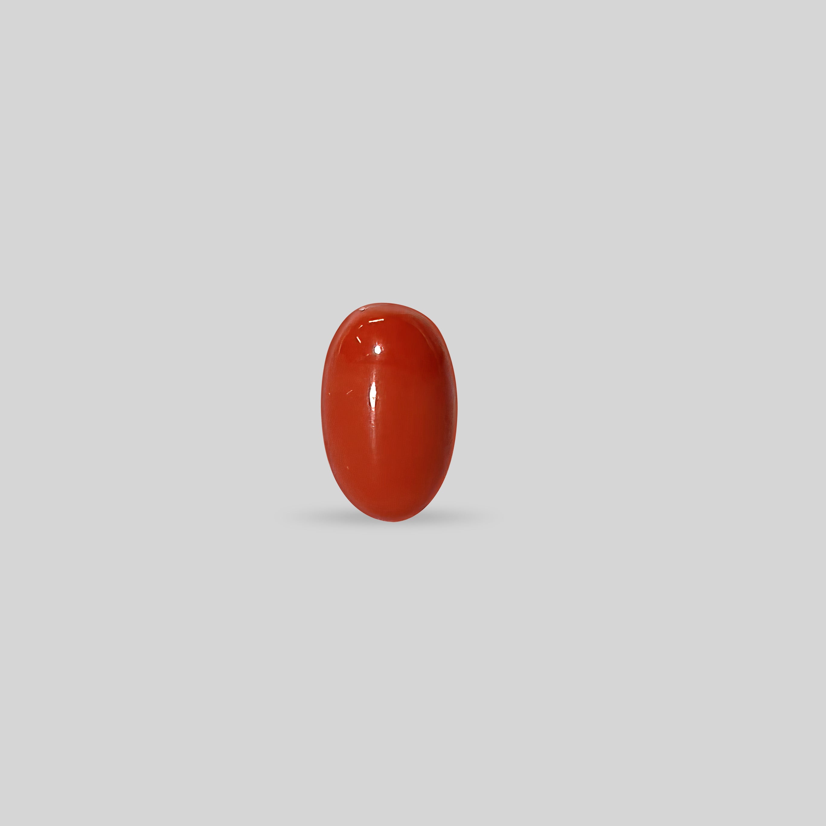 Japanese Red Coral - 7.28 Carats