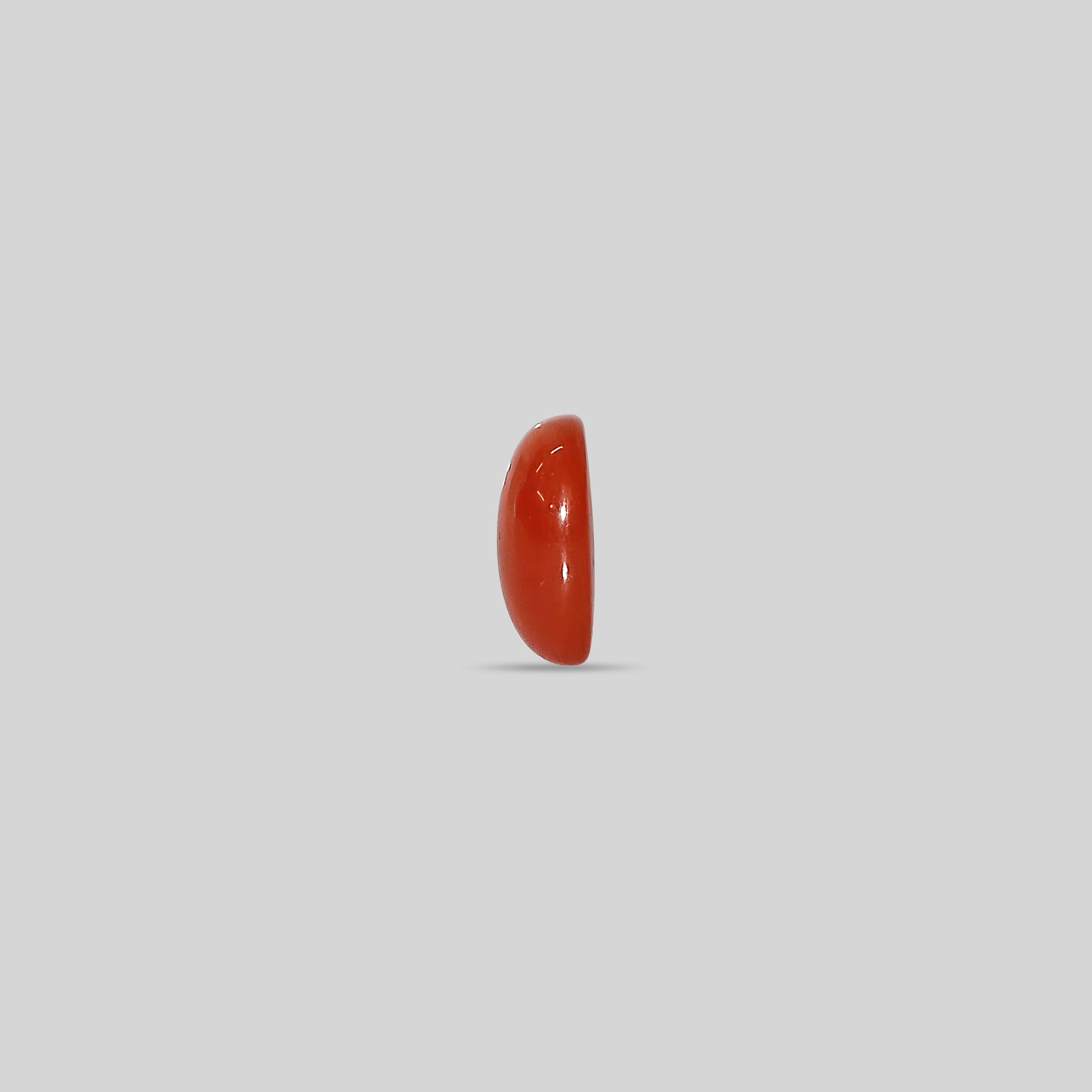 Japanese Red Coral - 8.18 Carats