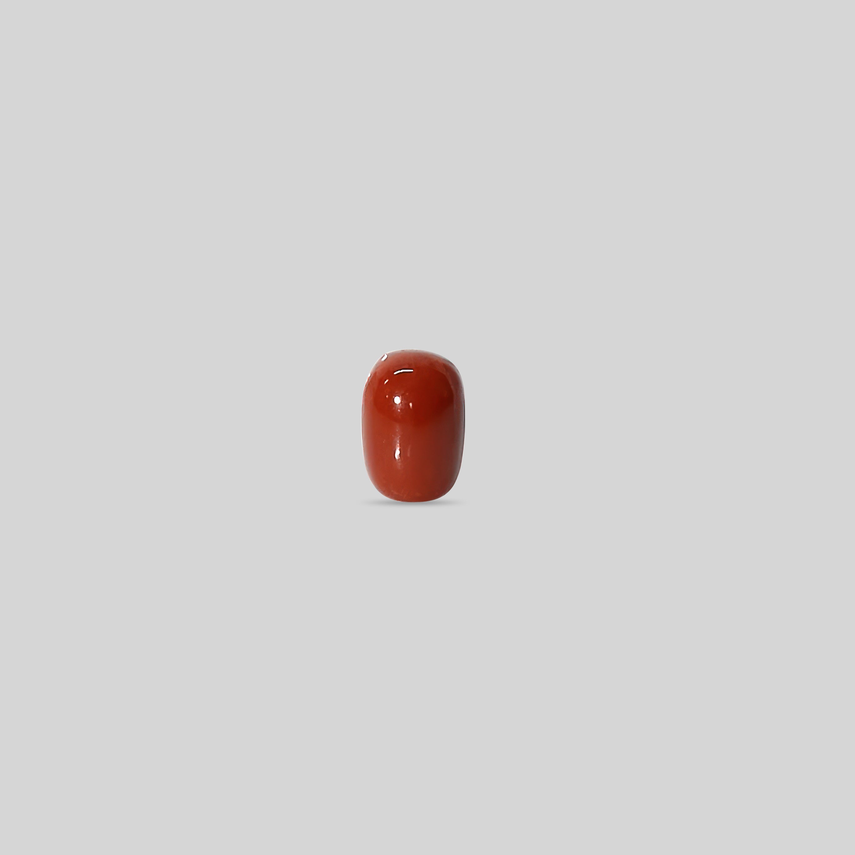 Italian Red Coral - 10.05 Carats