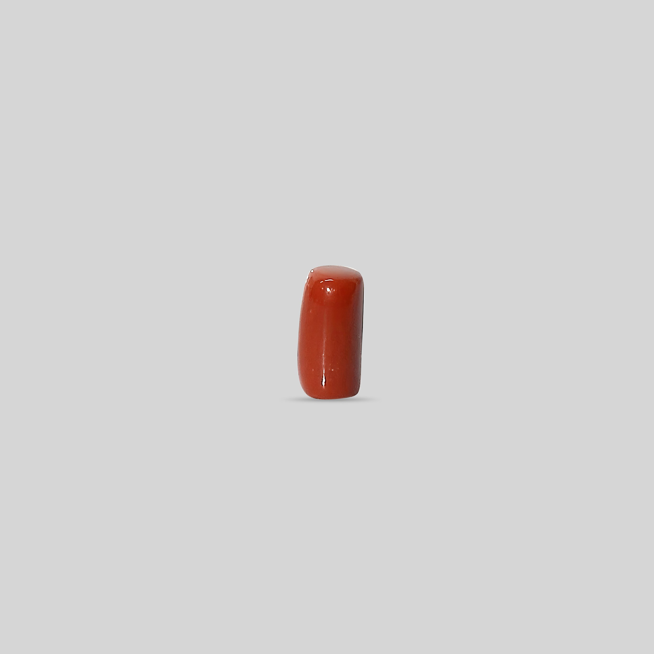 Italian Red Coral - 10.27 Carats