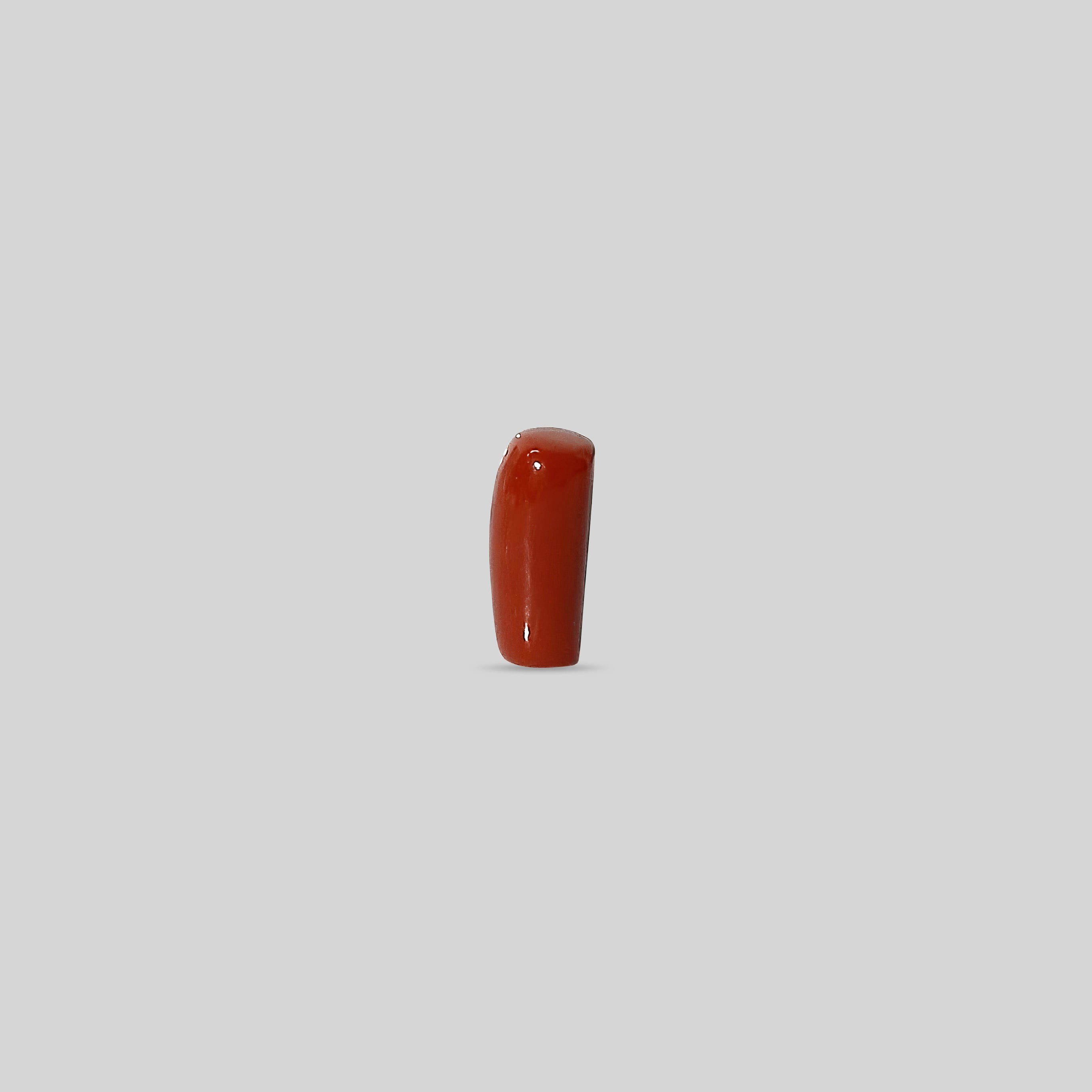 Italian Red Coral - 10.74 Carats
