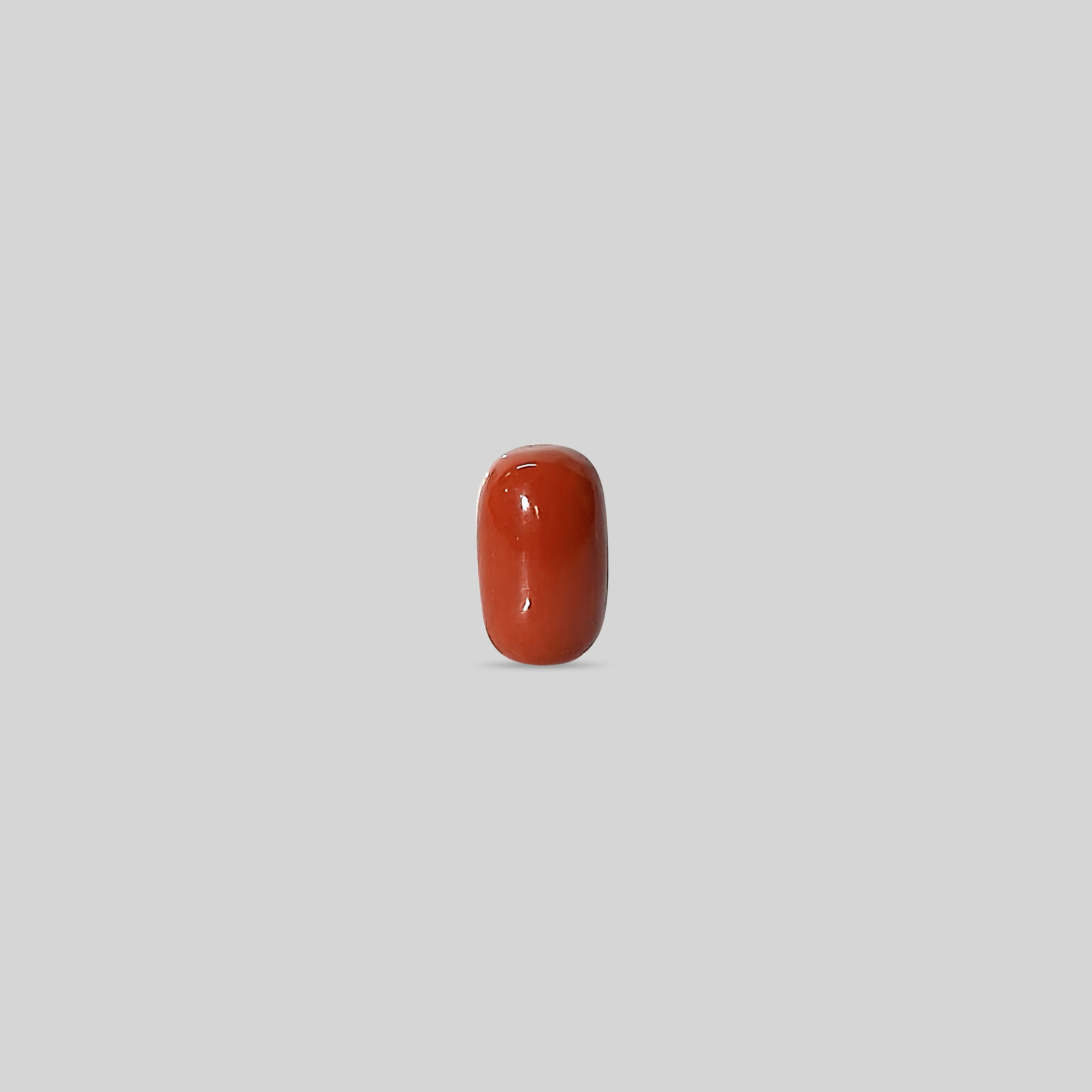 Italian Red Coral - 10.98 Carats