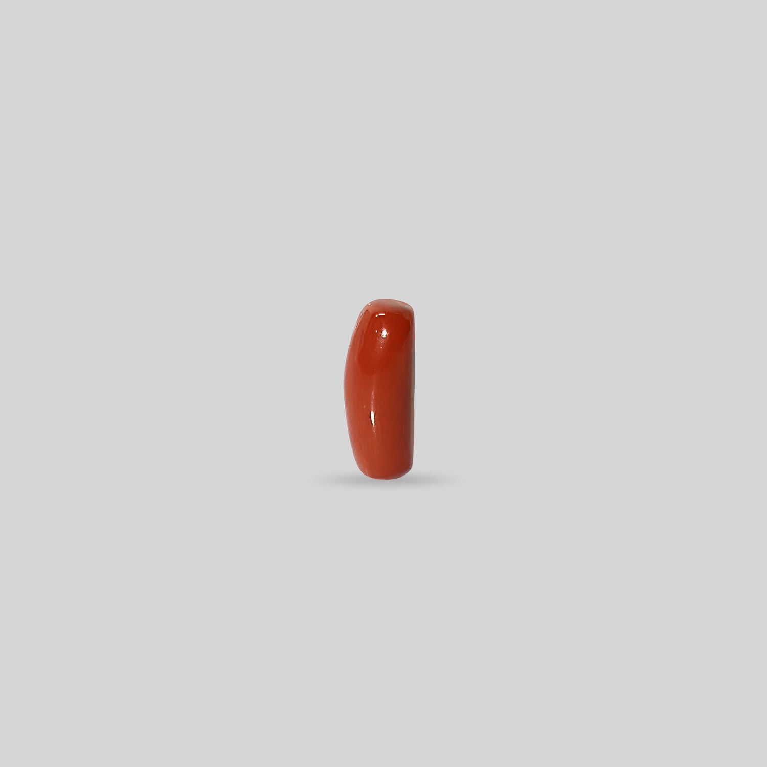 Italian Red Coral - 11.02 Carats