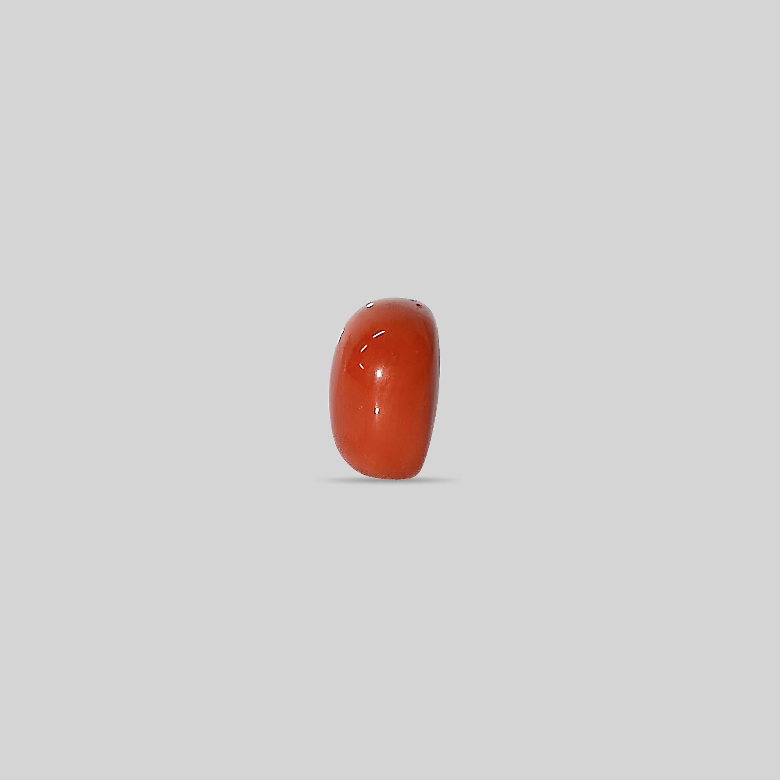 Italian Red Coral - 11.92 Carats