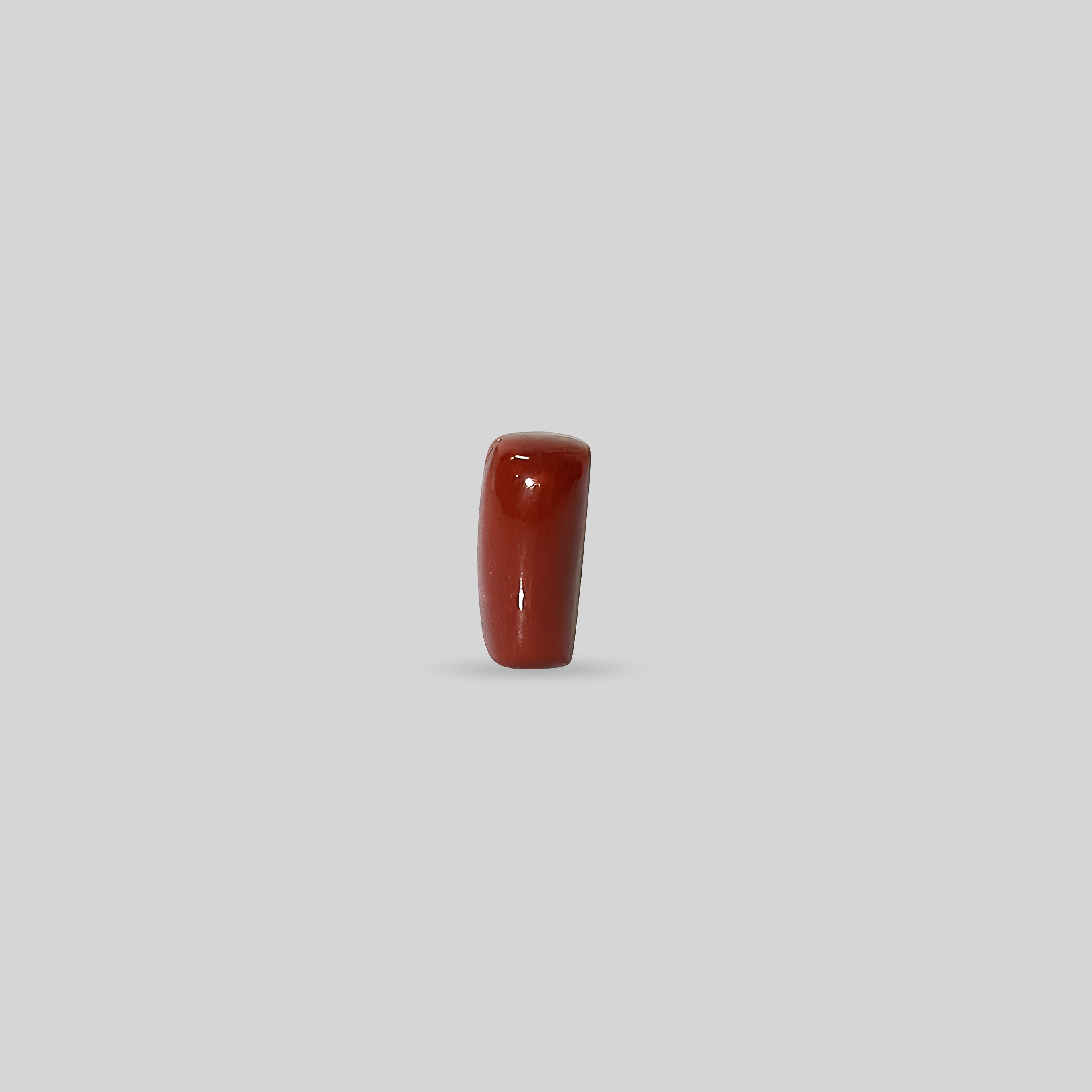 Italian Red Coral - 11.94 Carats