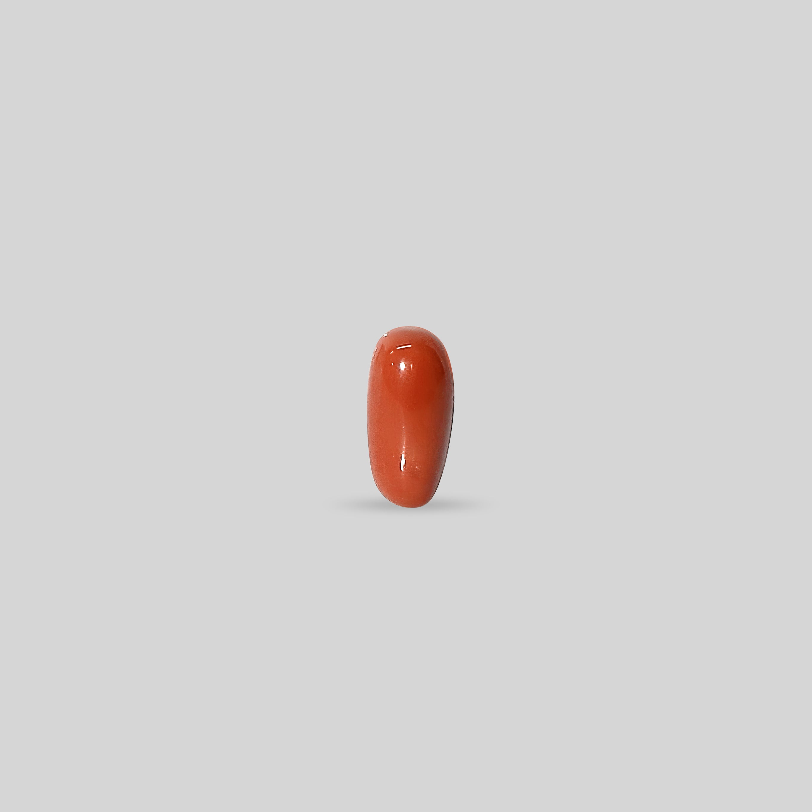 Italian Red Coral - 12.42 Carats