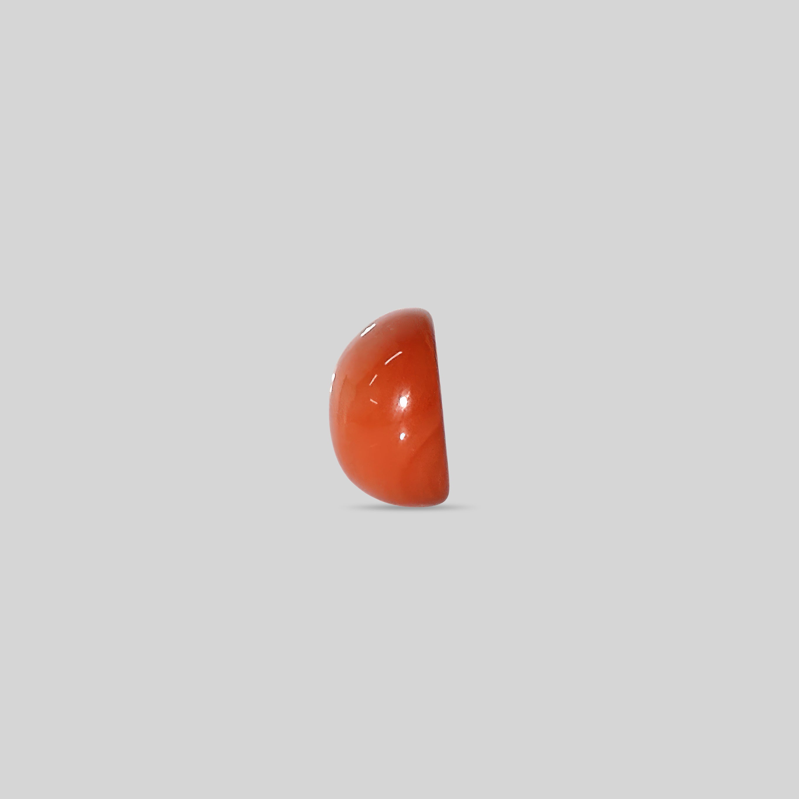 Japanese Red Coral - 12.99 Carats