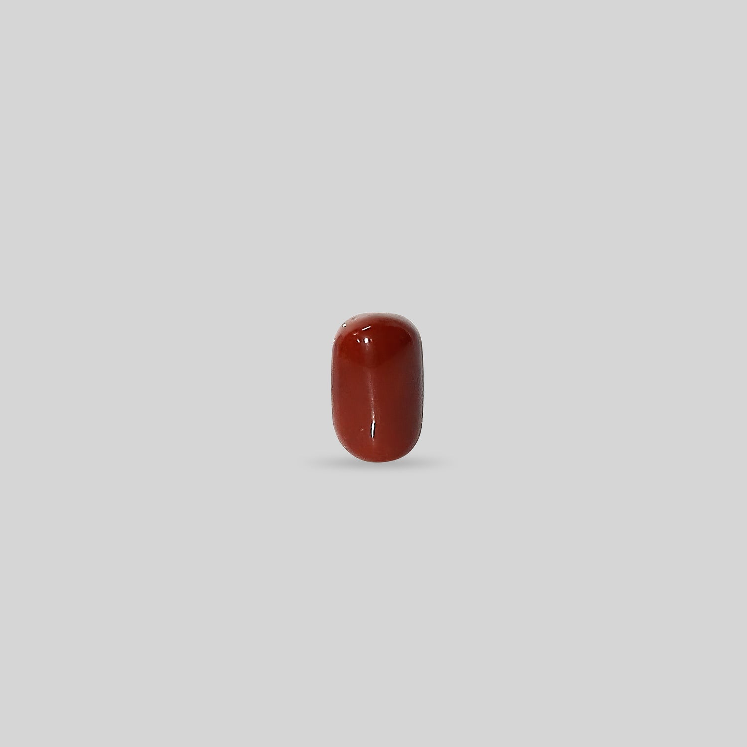 Italian Red Coral - 13.17 Carats