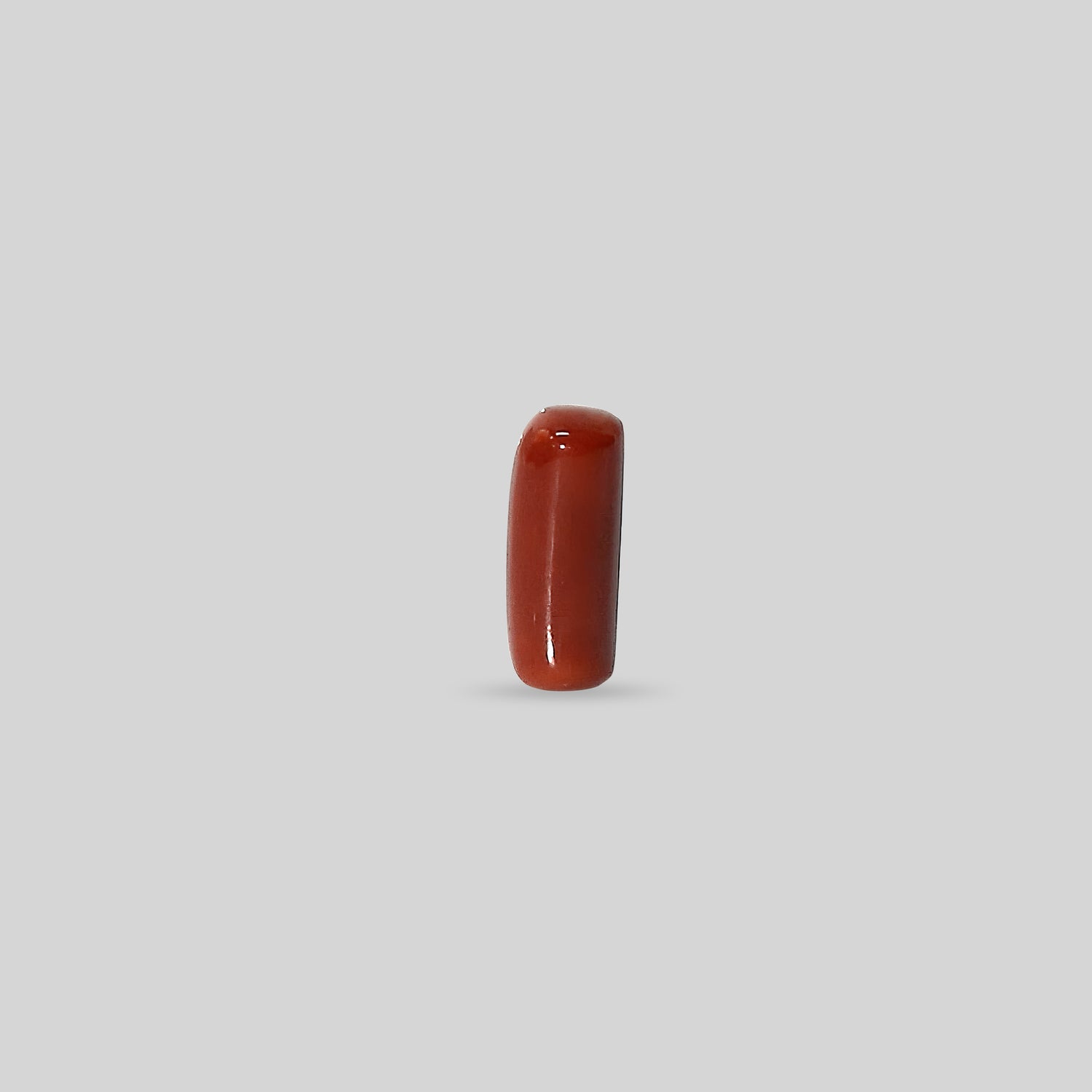 Italian Red Coral - 14.58 Carats