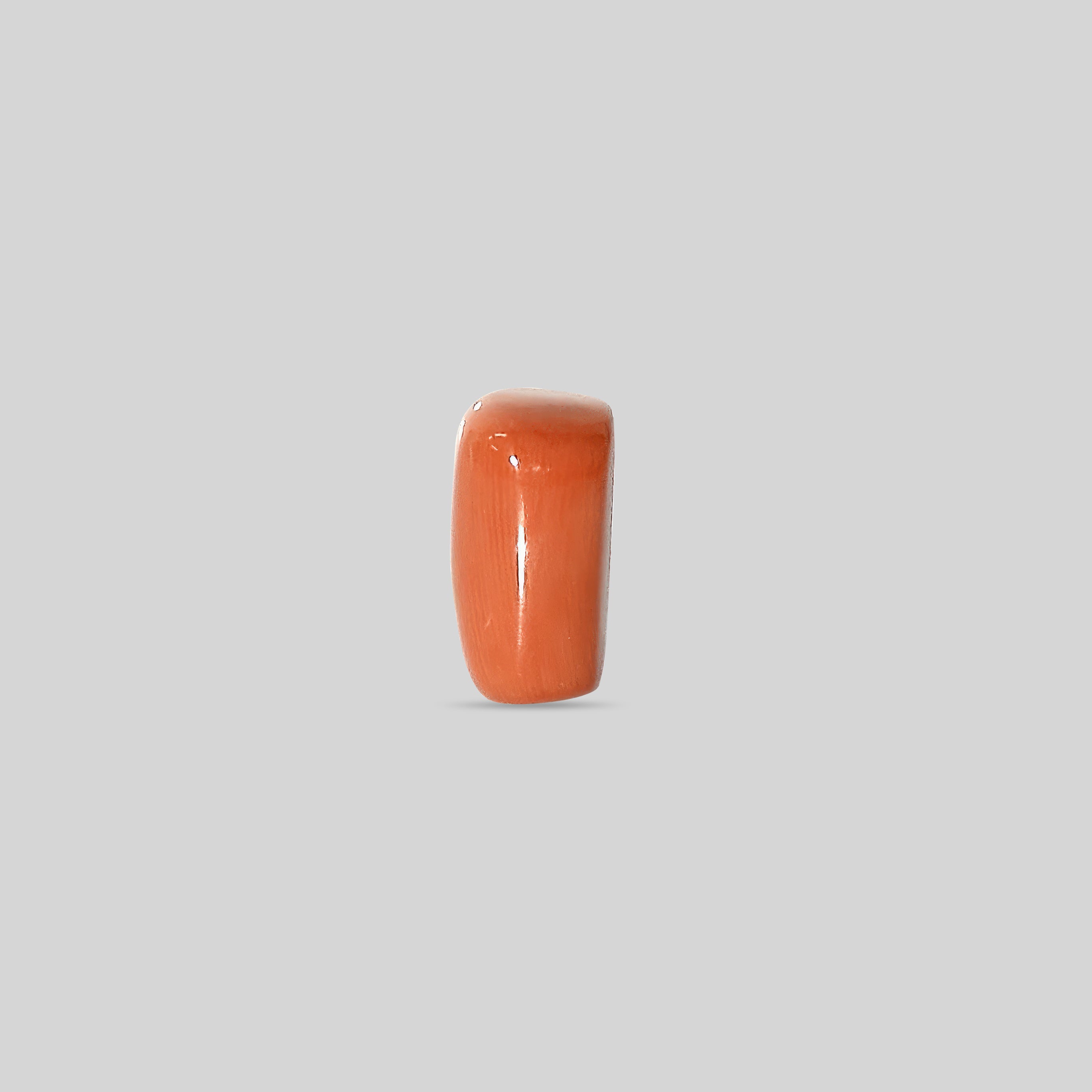 Italian Red Coral - 16.18 Carats
