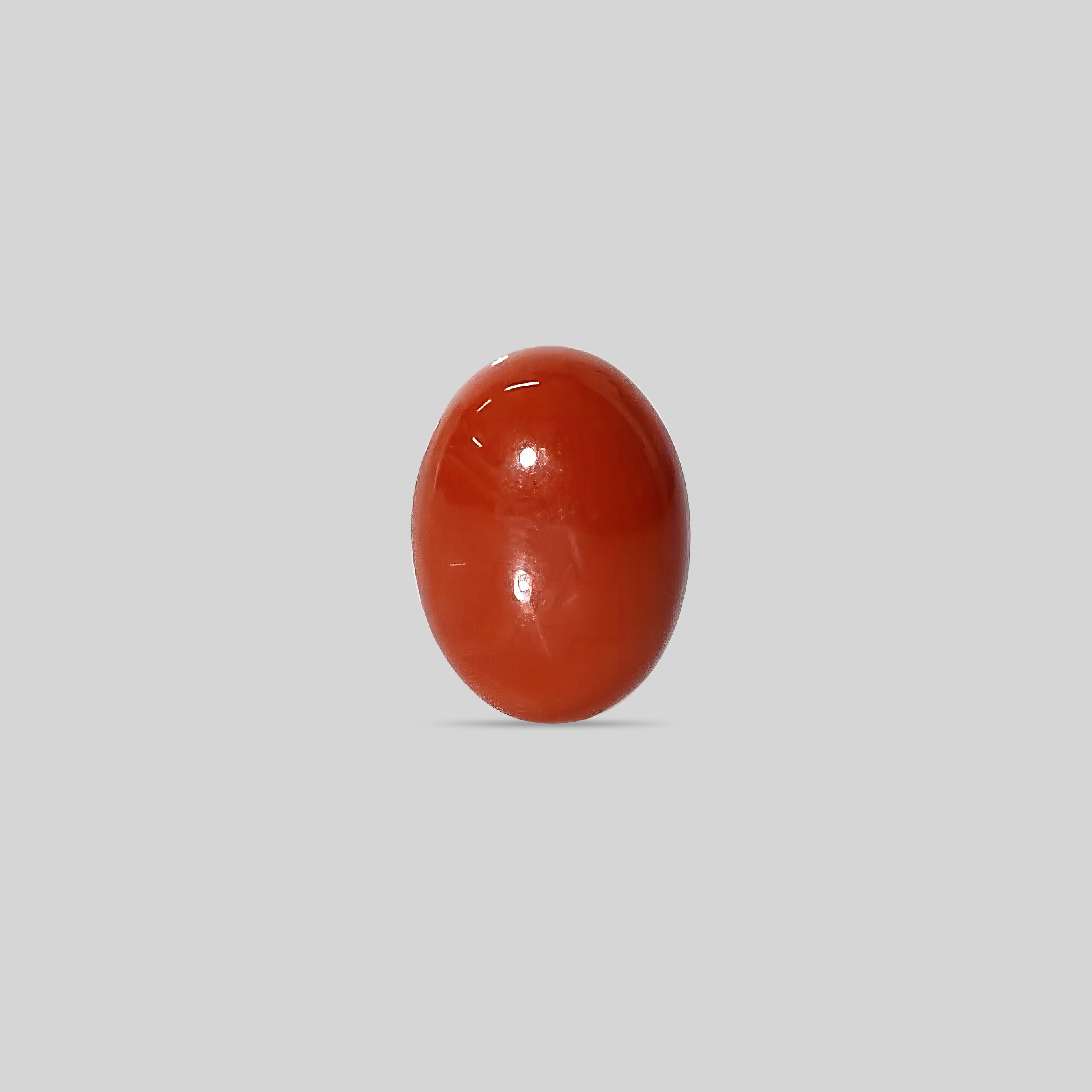 Japanese Red Coral - 19.73 Carats