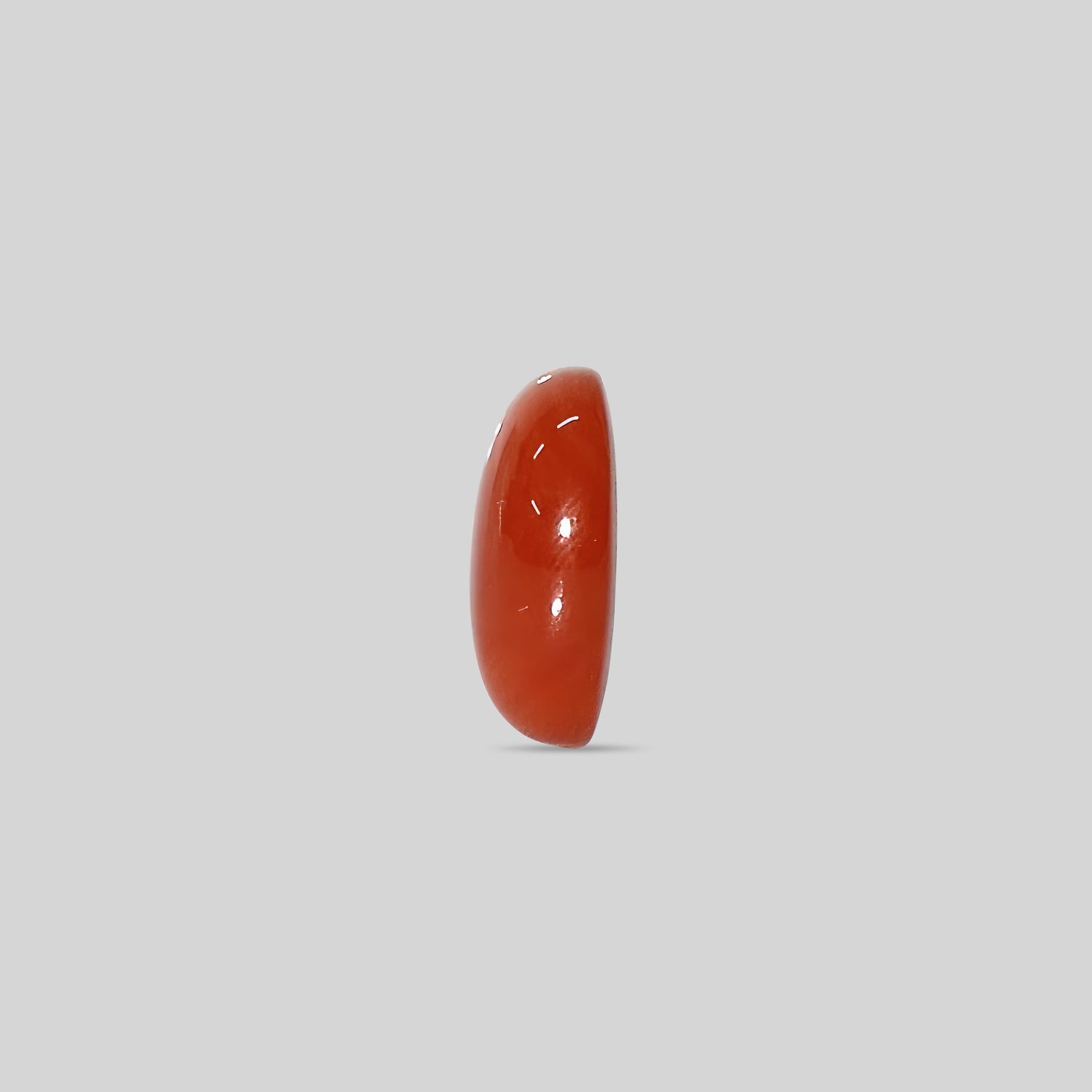 Japanese Red Coral - 19.73 Carats