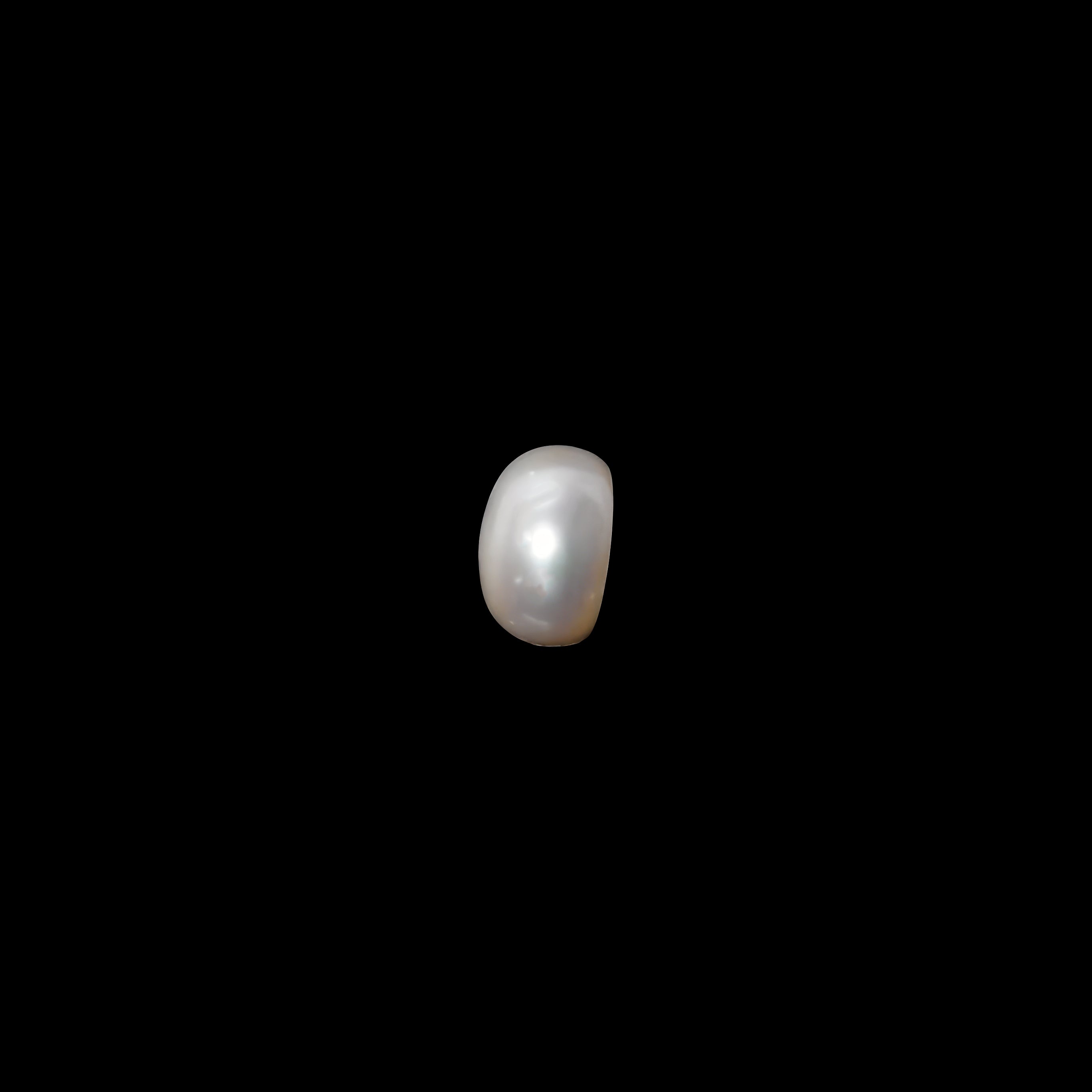 Freshwater Pearl - 12.49 Carats