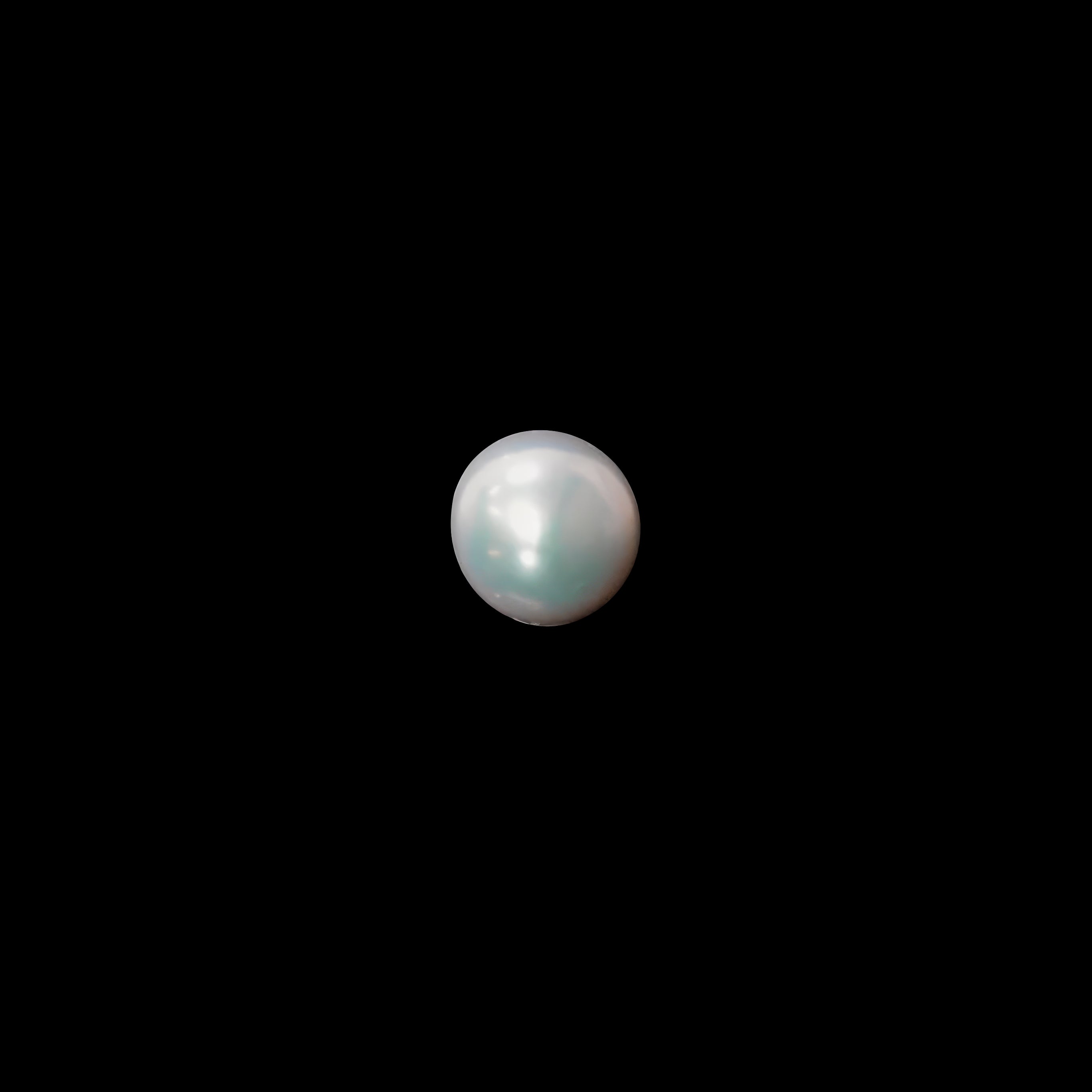Freshwater Pearl - 12.80 Carats