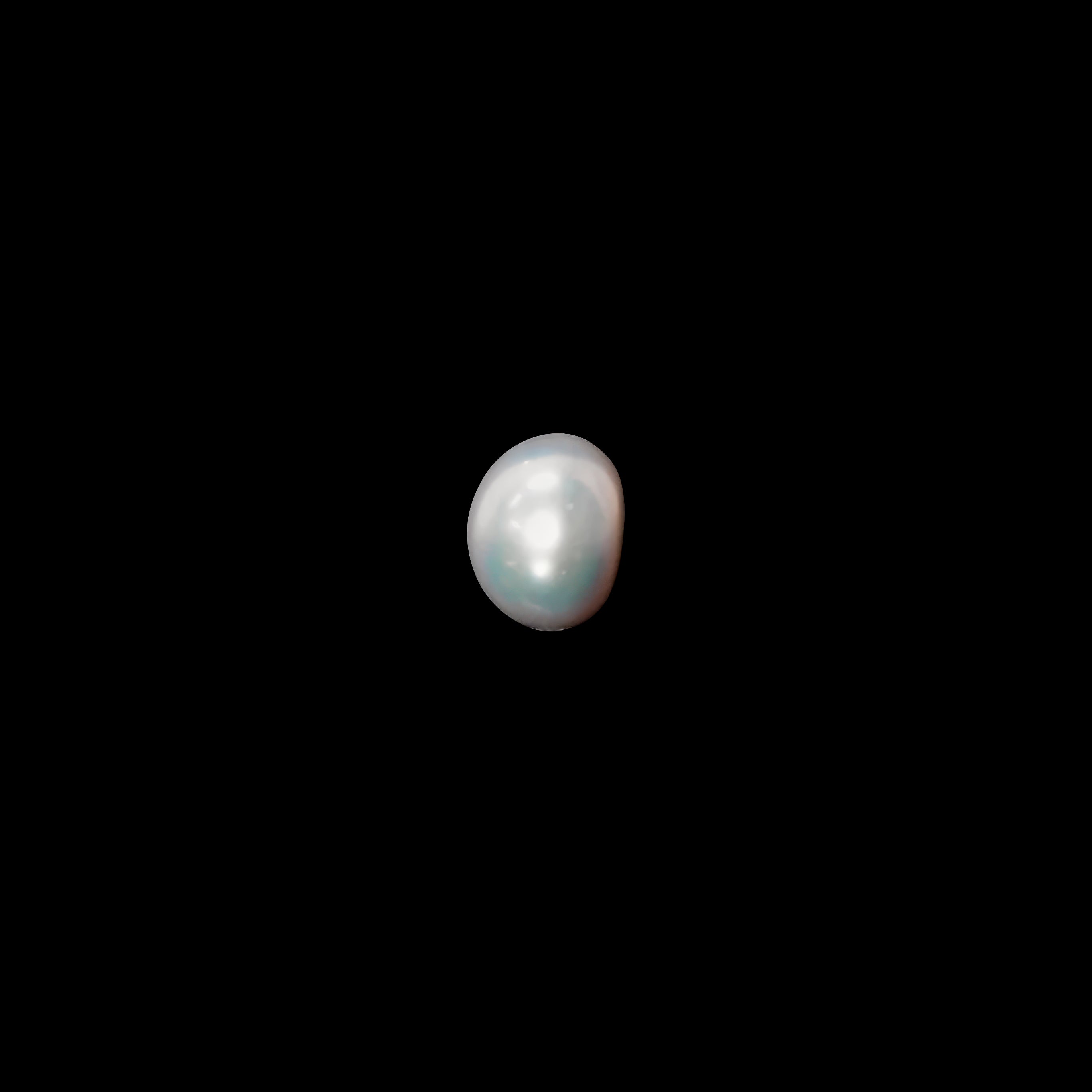 Freshwater Pearl - 12.80 Carats