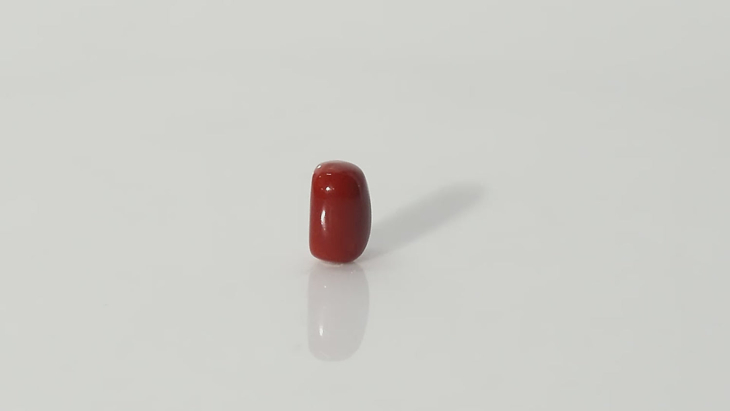 Italian Red Coral - 12.03 Carats