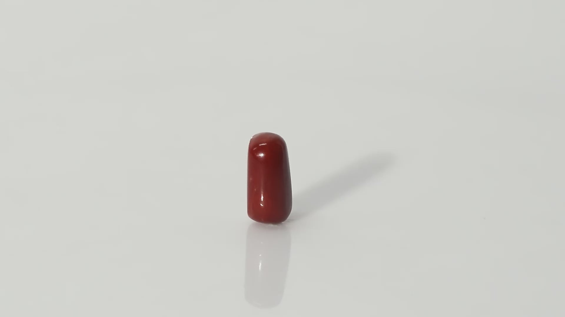 Italian Red Coral - 13.01 Carats