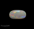 Opal - 11.53 Carats