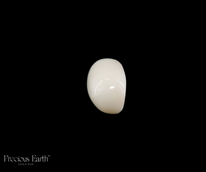 White Coral - 15.29 Carats