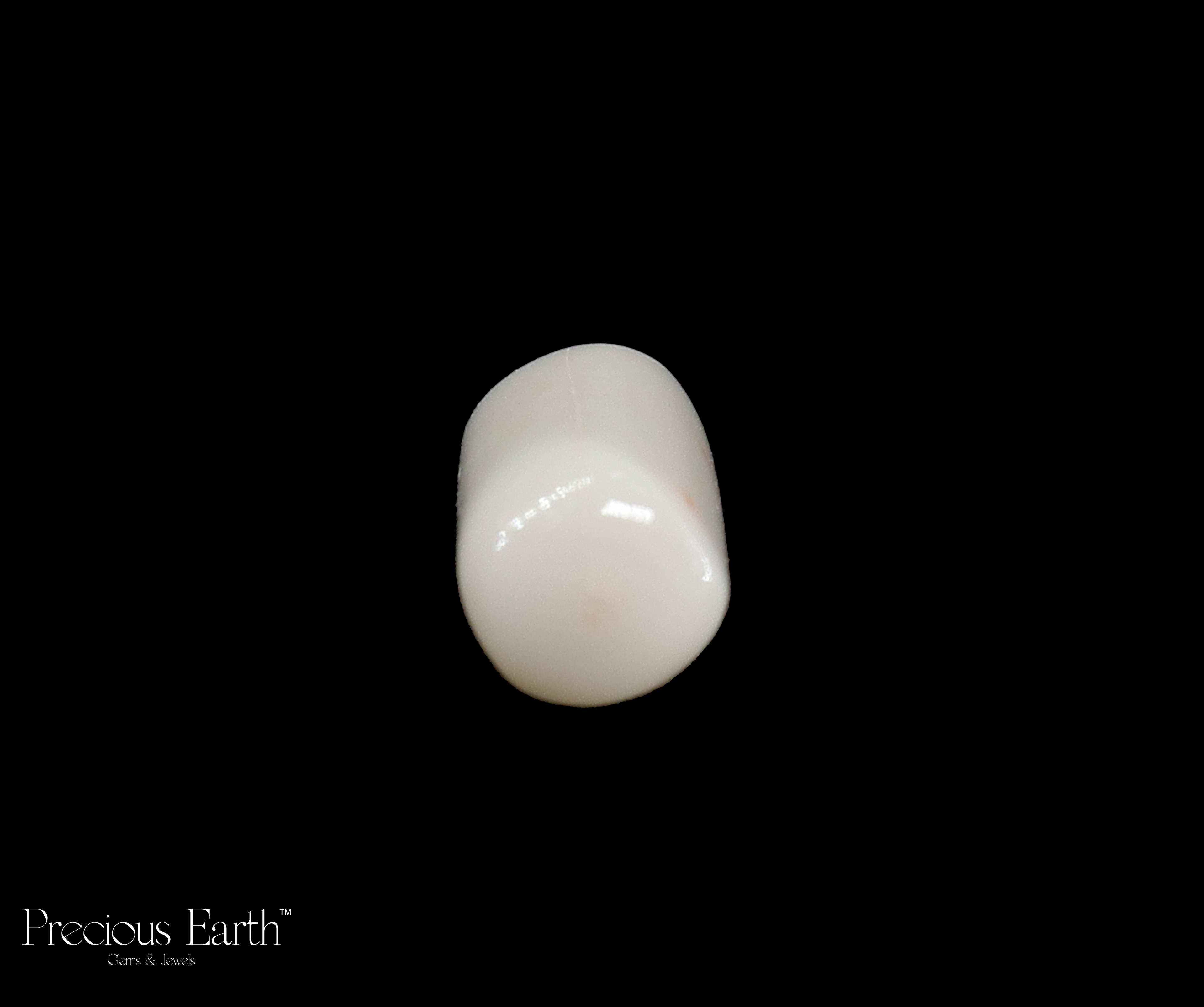 White Coral - 12.11 Carats