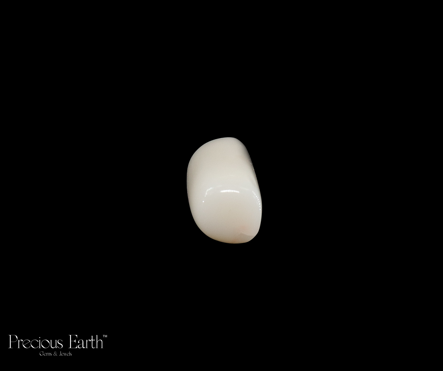 White Coral - 14.04 Carats