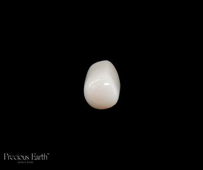 White Coral - 10.96 Carats