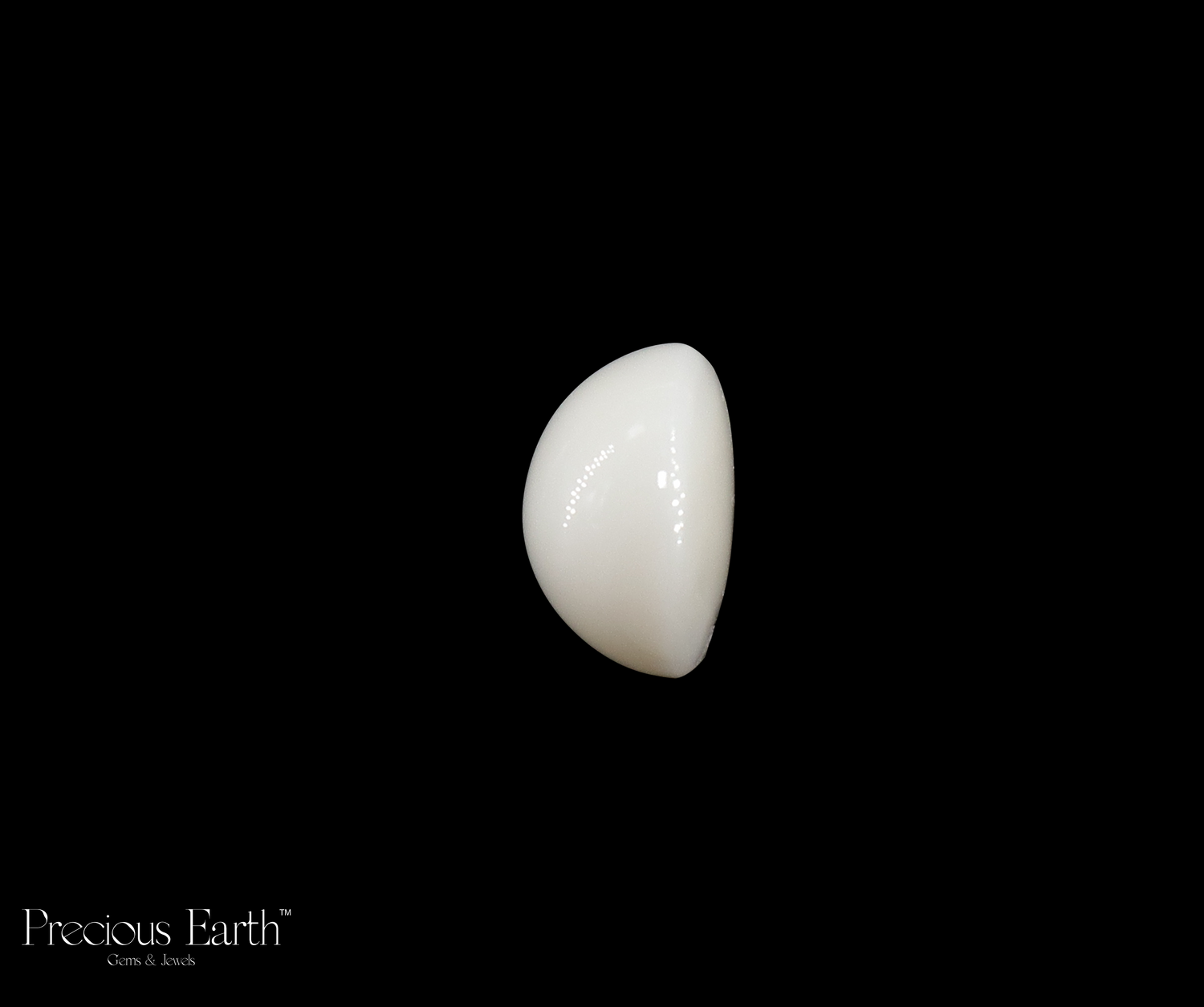 Japanese White Coral - 12.06 Carats