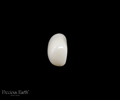 White Coral - 15.44 Carats