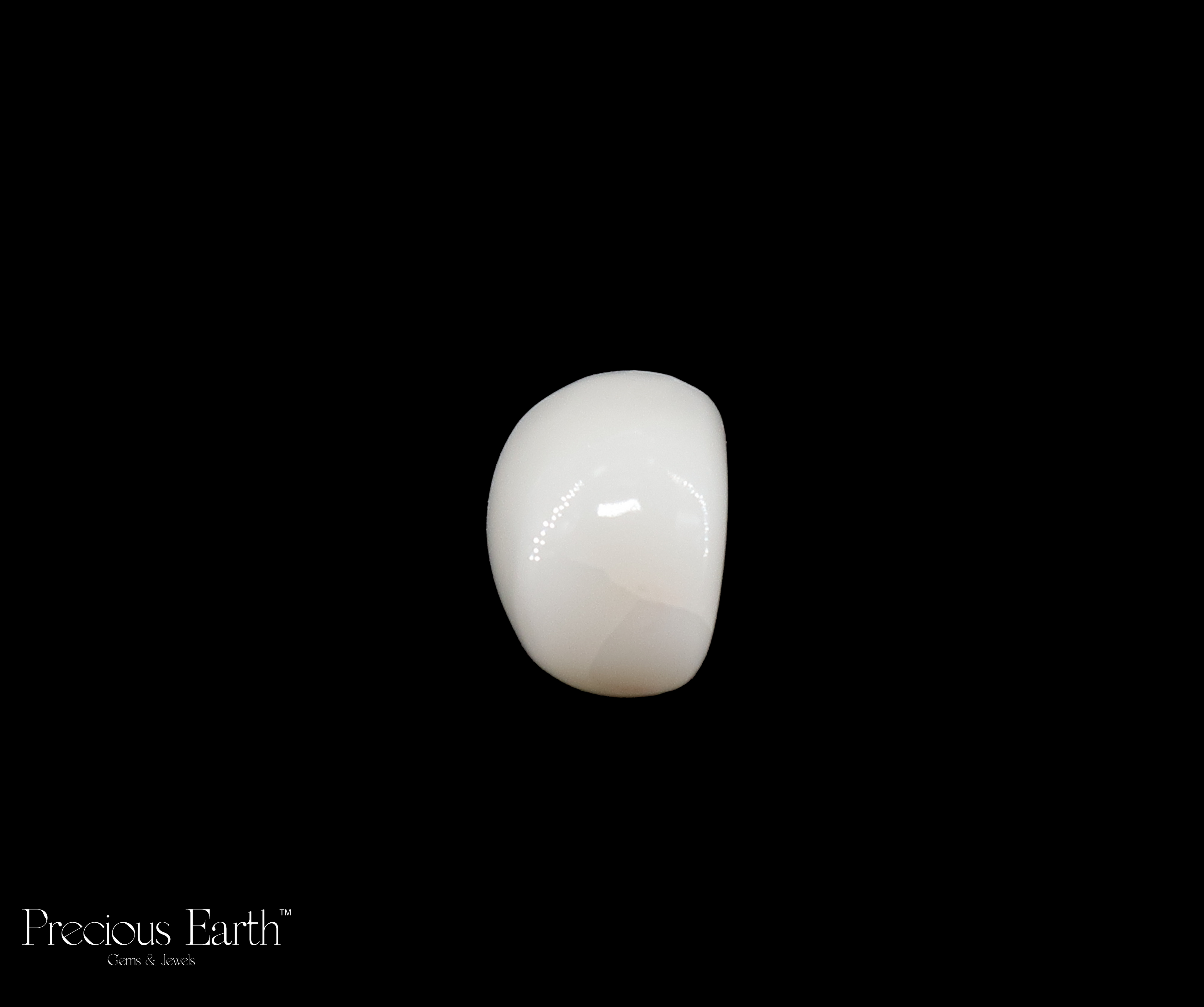 White Coral - 15.68 Carats