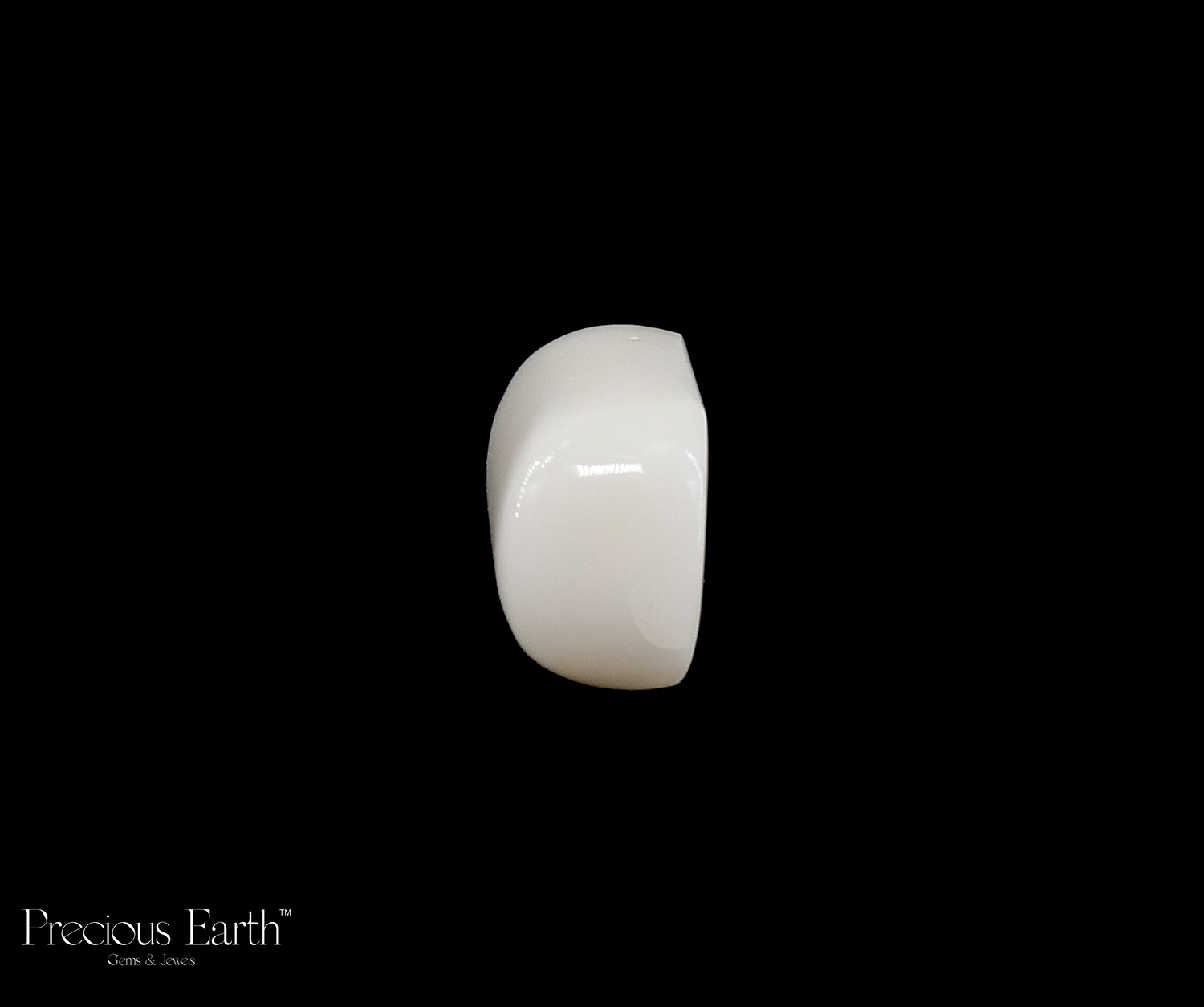 White Coral - 15.75 Carats