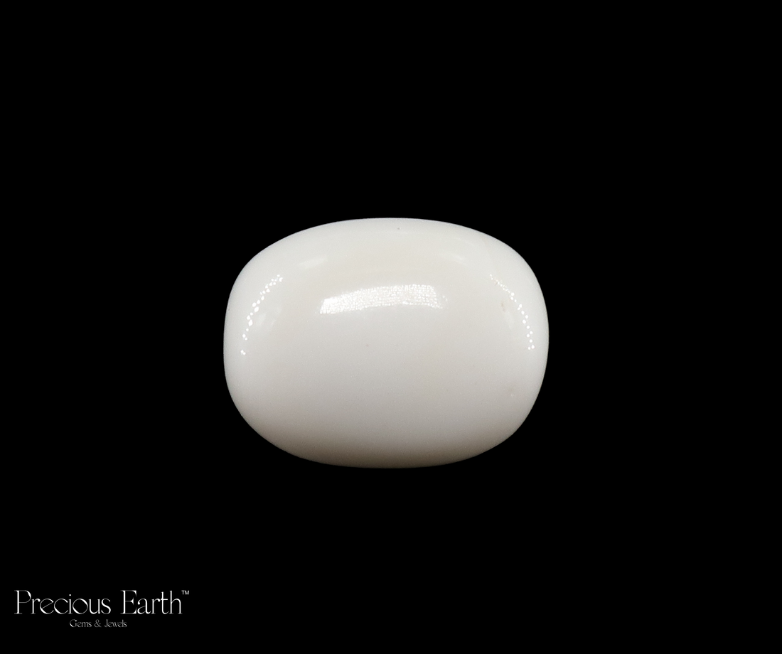 White Coral - 19.80 Carats