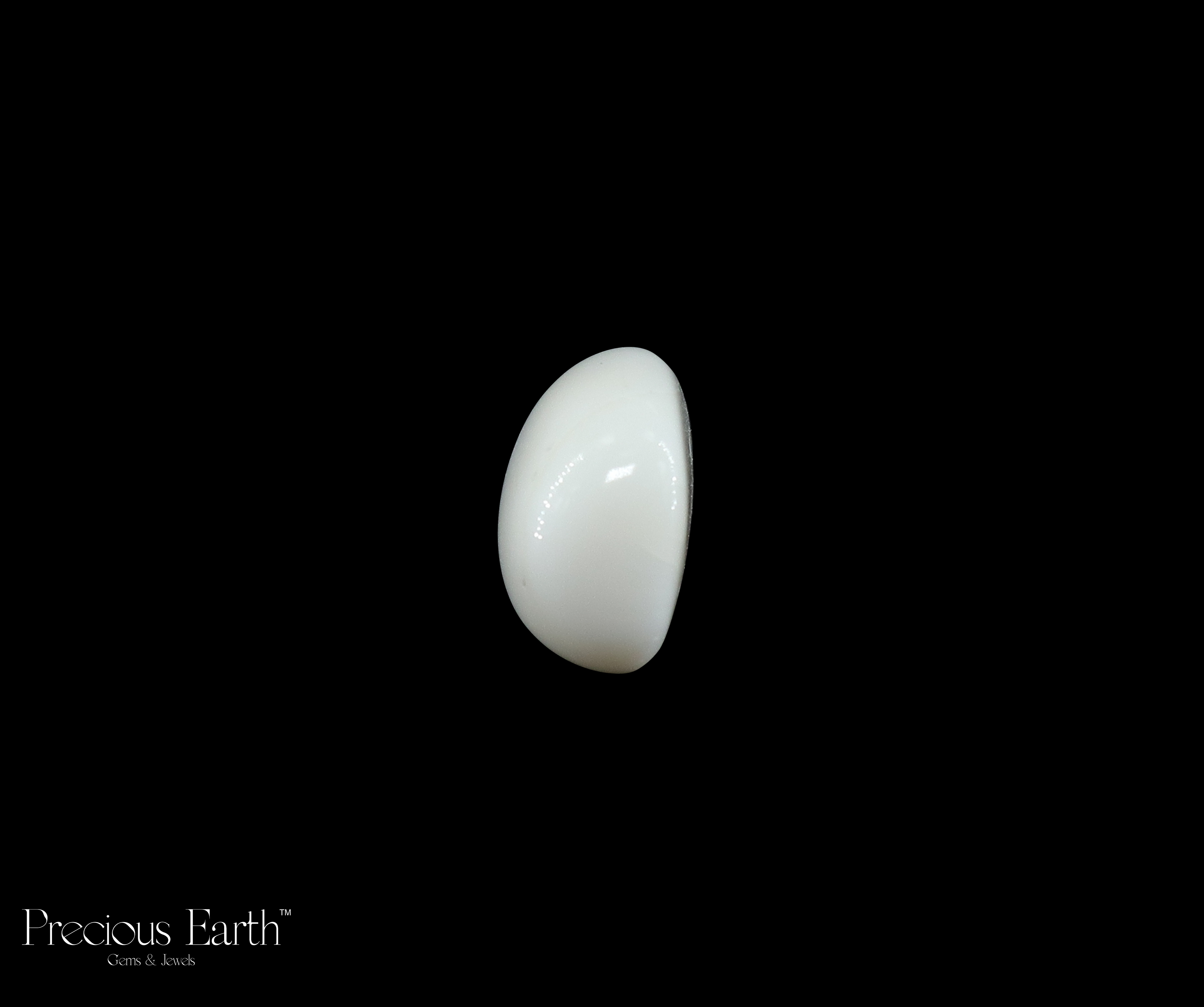 White Coral - 19.80 Carats