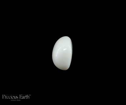 White Coral - 19.80 Carats