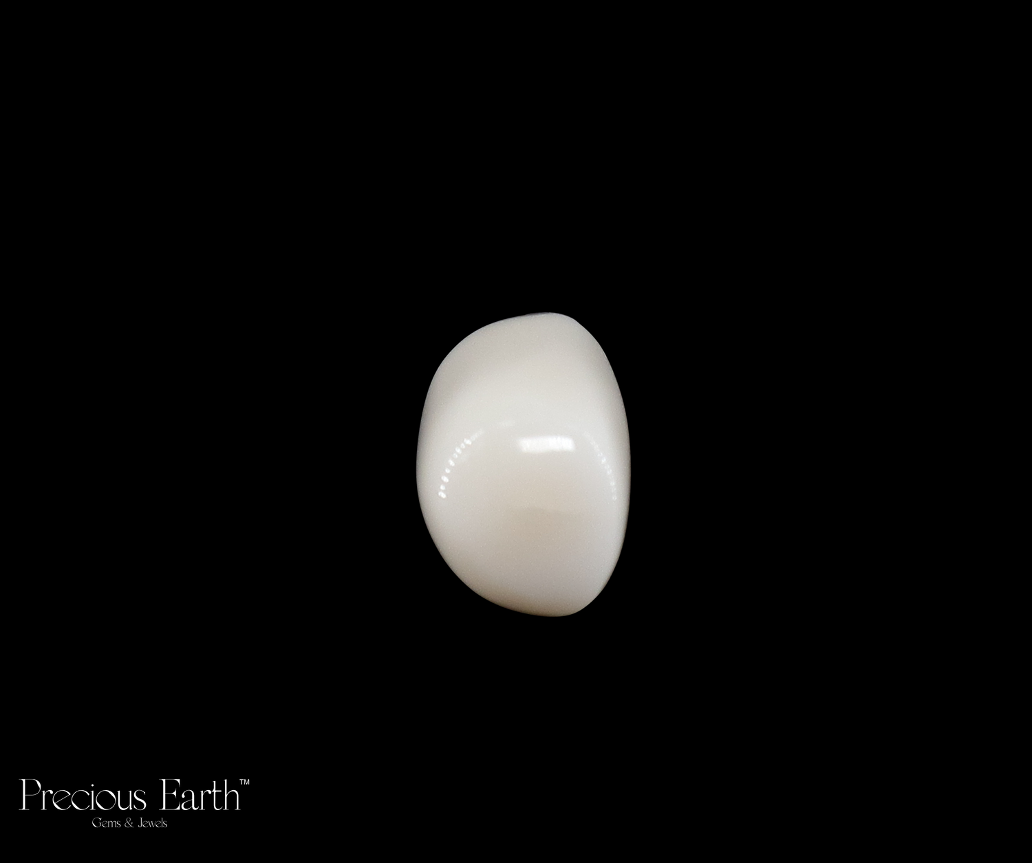 White Coral - 15.79 Carats