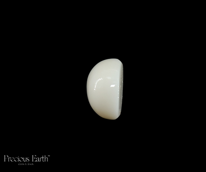 White Coral - 10.87 Carats