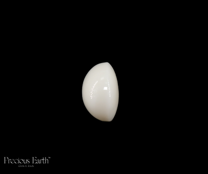 Japanese White Coral - 13.25 Carats