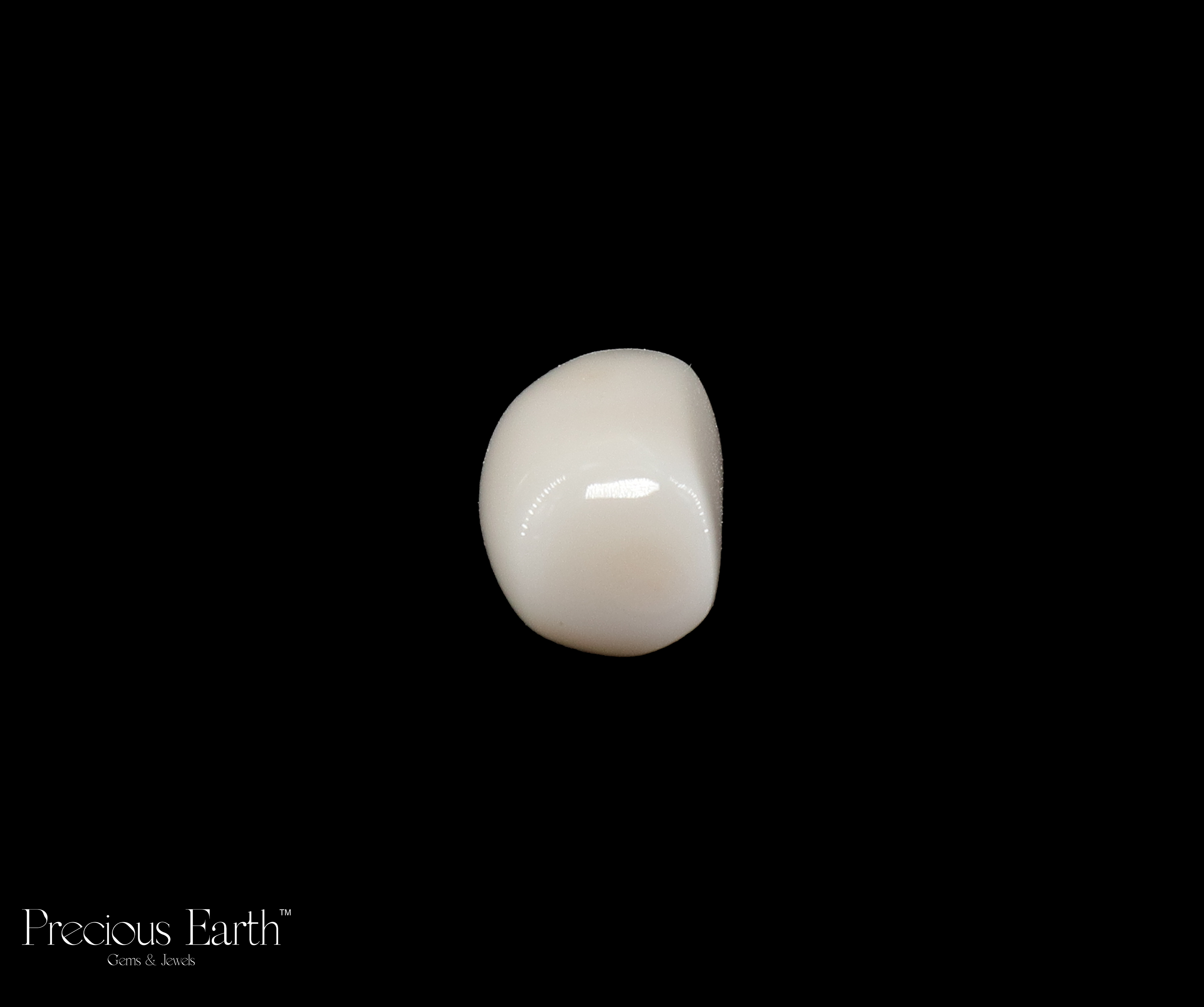 White Coral - 12.45 Carats