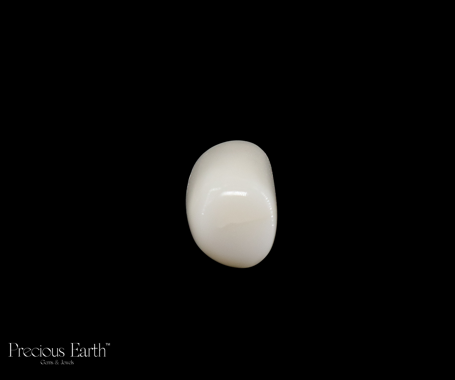 White Coral - 15.18 Carats