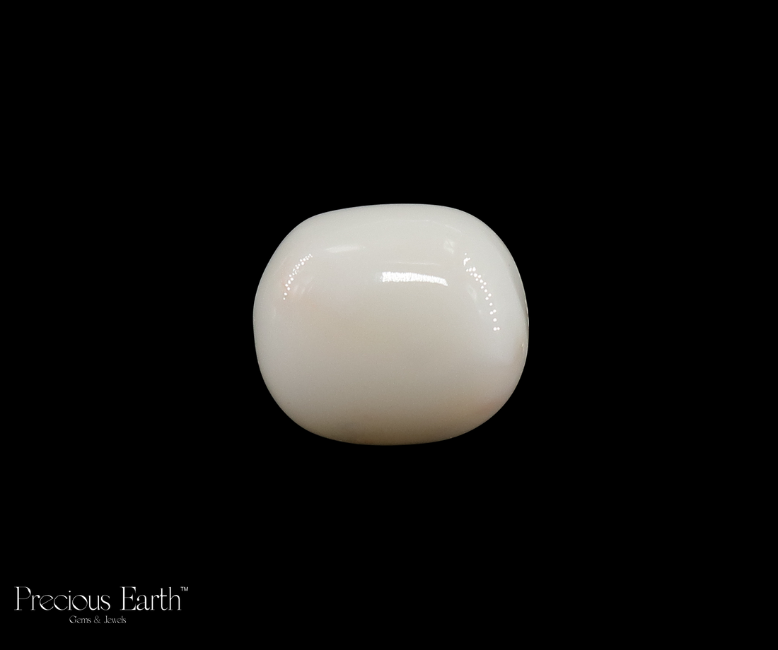 White Coral - 15.89 Carats