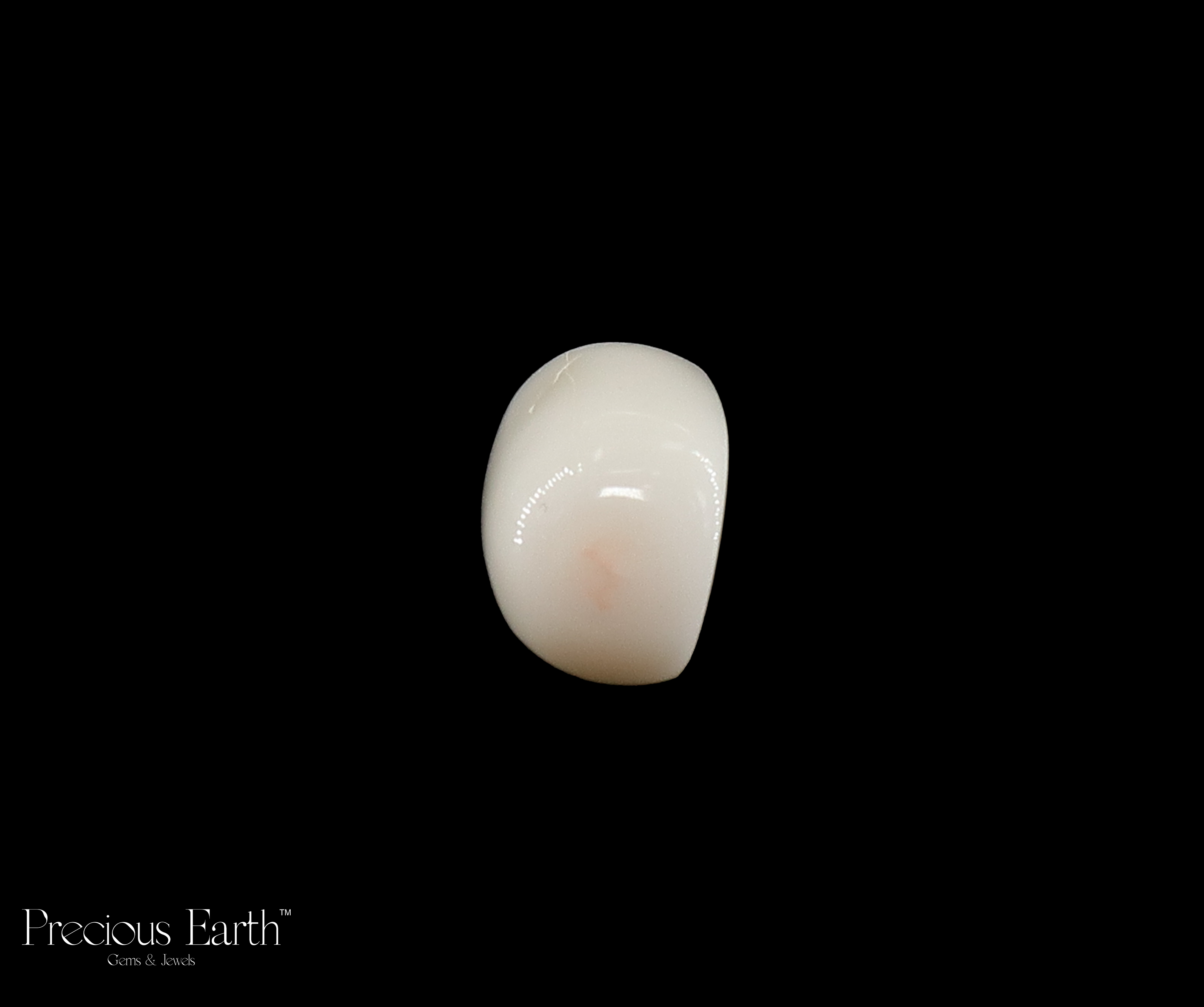 White Coral - 10.89 Carats